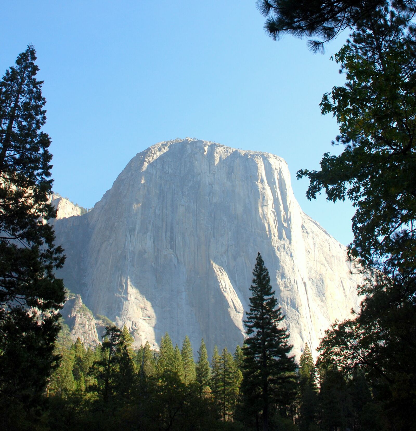 Nikon D80 sample photo. Half dome, rock formation photography