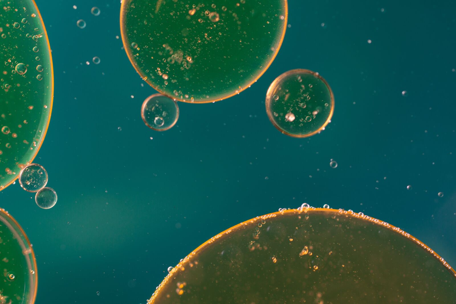 Canon EF 50mm F2.5 Macro sample photo. Oil in water, liquid photography
