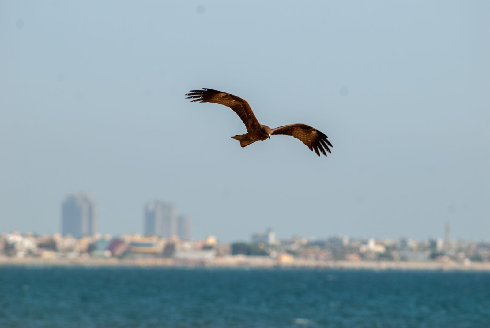 Nikon D200 sample photo