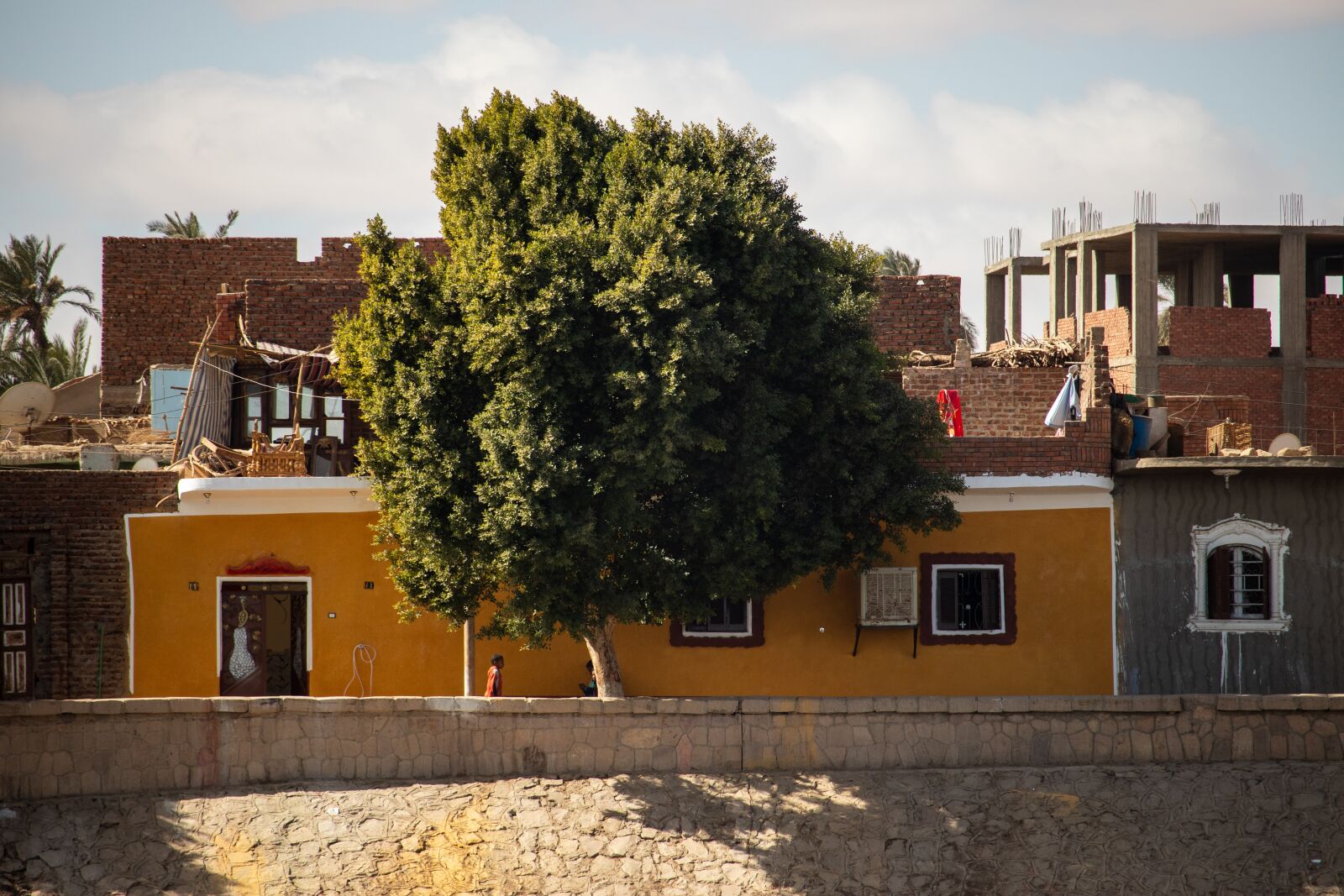 Canon EOS 200D (EOS Rebel SL2 / EOS Kiss X9) sample photo. Egypt, village, tree photography