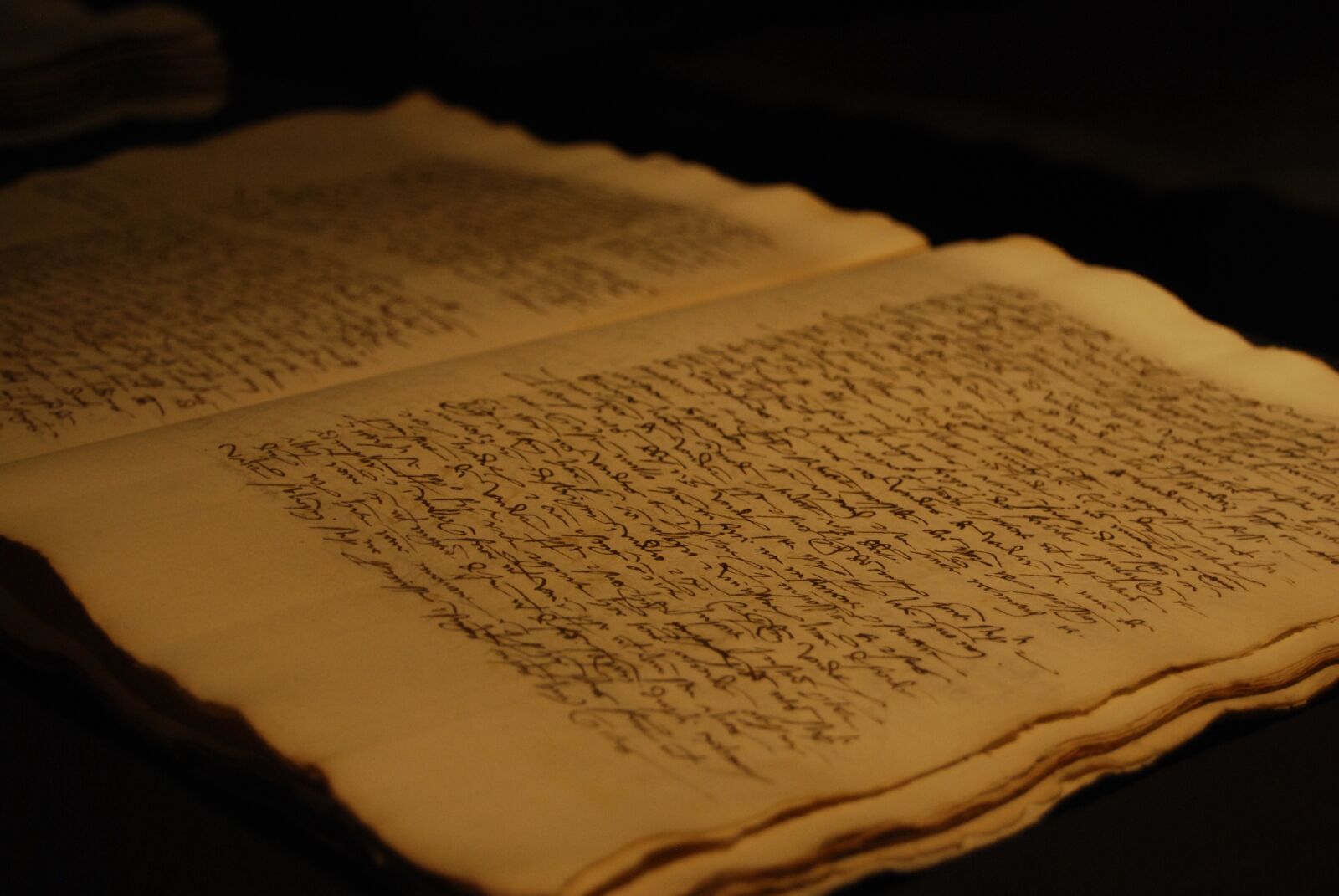 Nikon D40X sample photo. The holy book, holy photography
