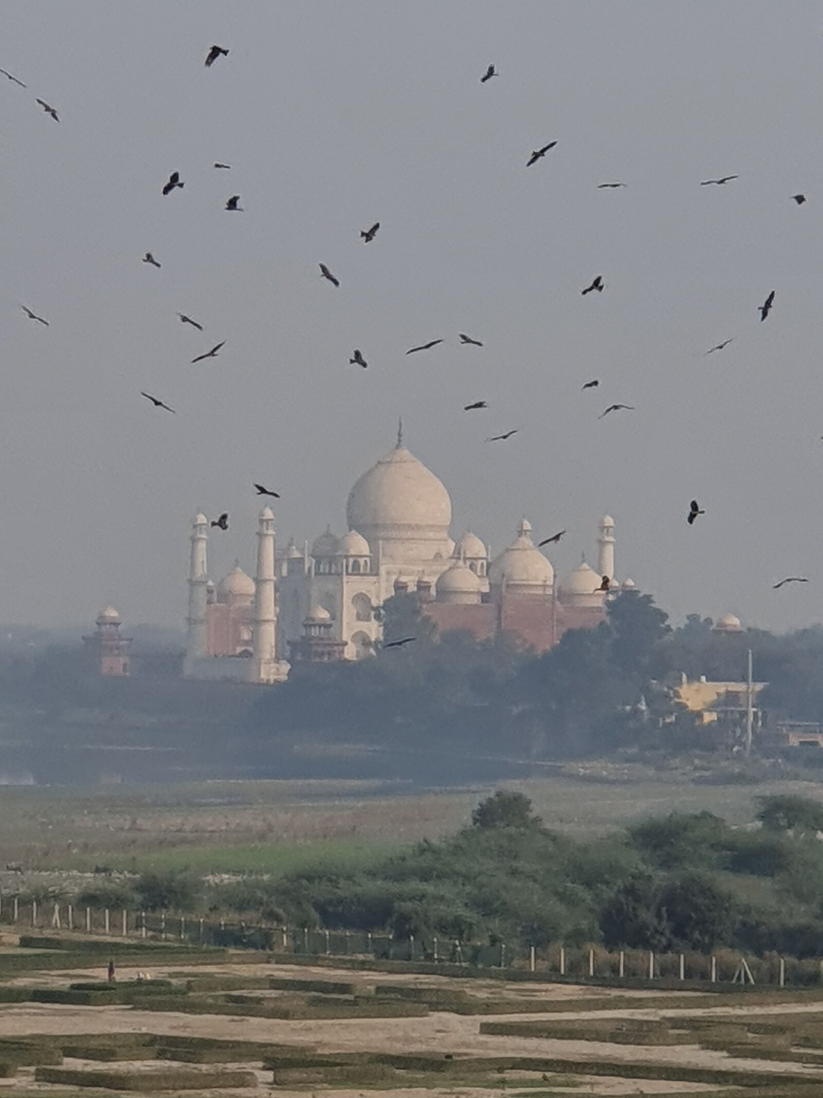 Samsung Galaxy S10 sample photo. Monument, taj mahal, v photography