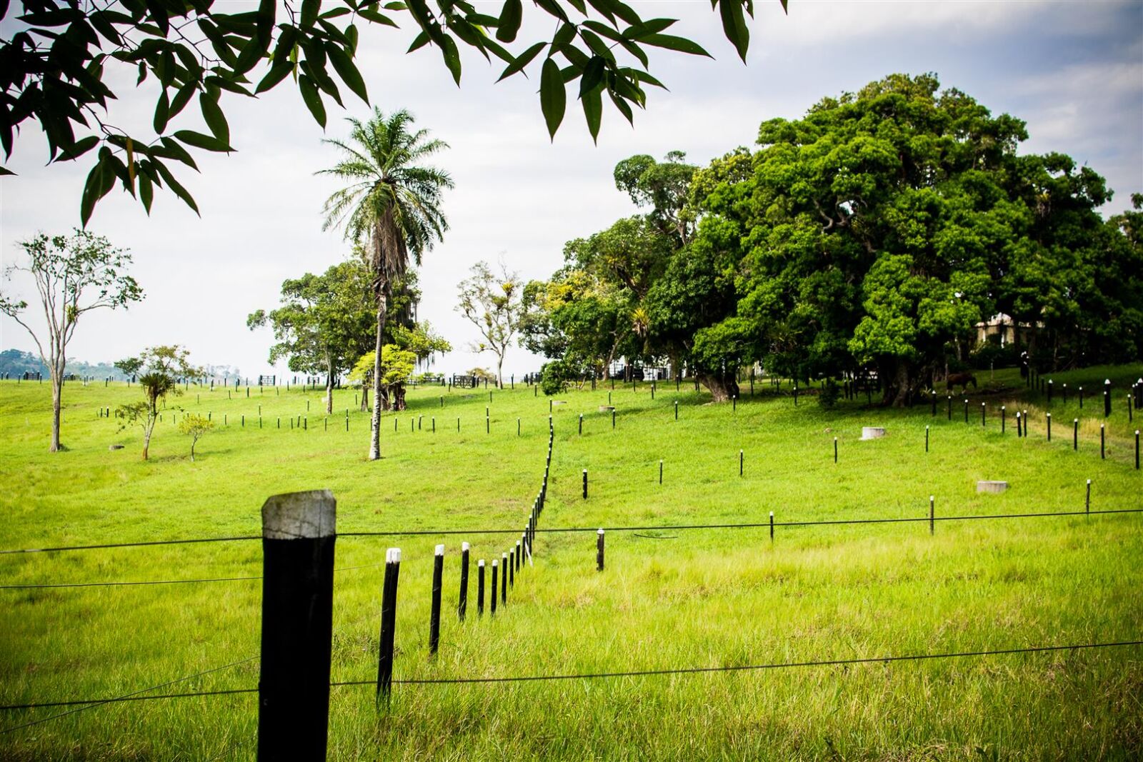 Nikon D3100 sample photo. Bahia, brazil, countryside, d3100 photography