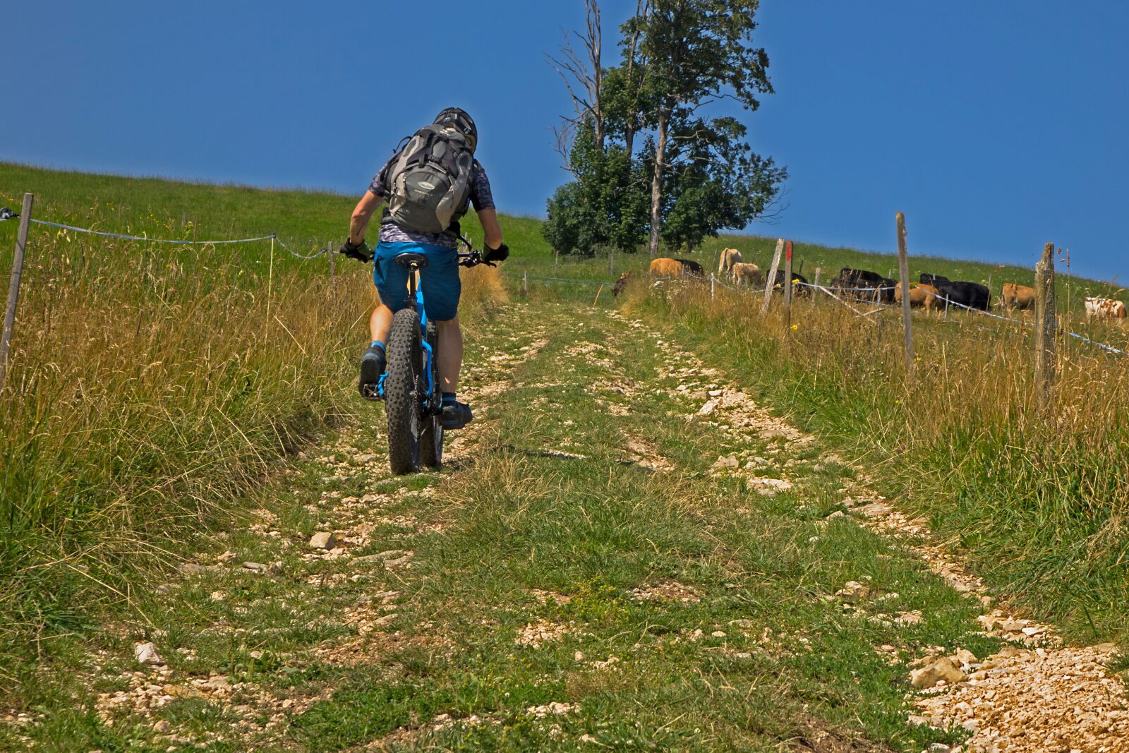 24-200mm F2.8 sample photo. Mountain bike, trail, bike photography