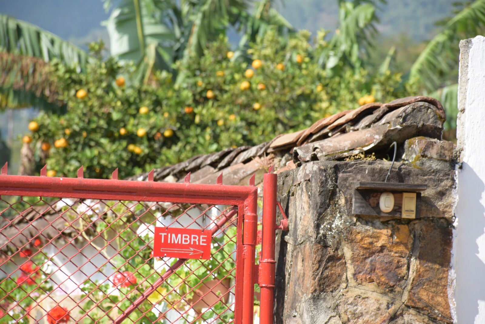 Nikon D7200 sample photo. House, field, nature photography