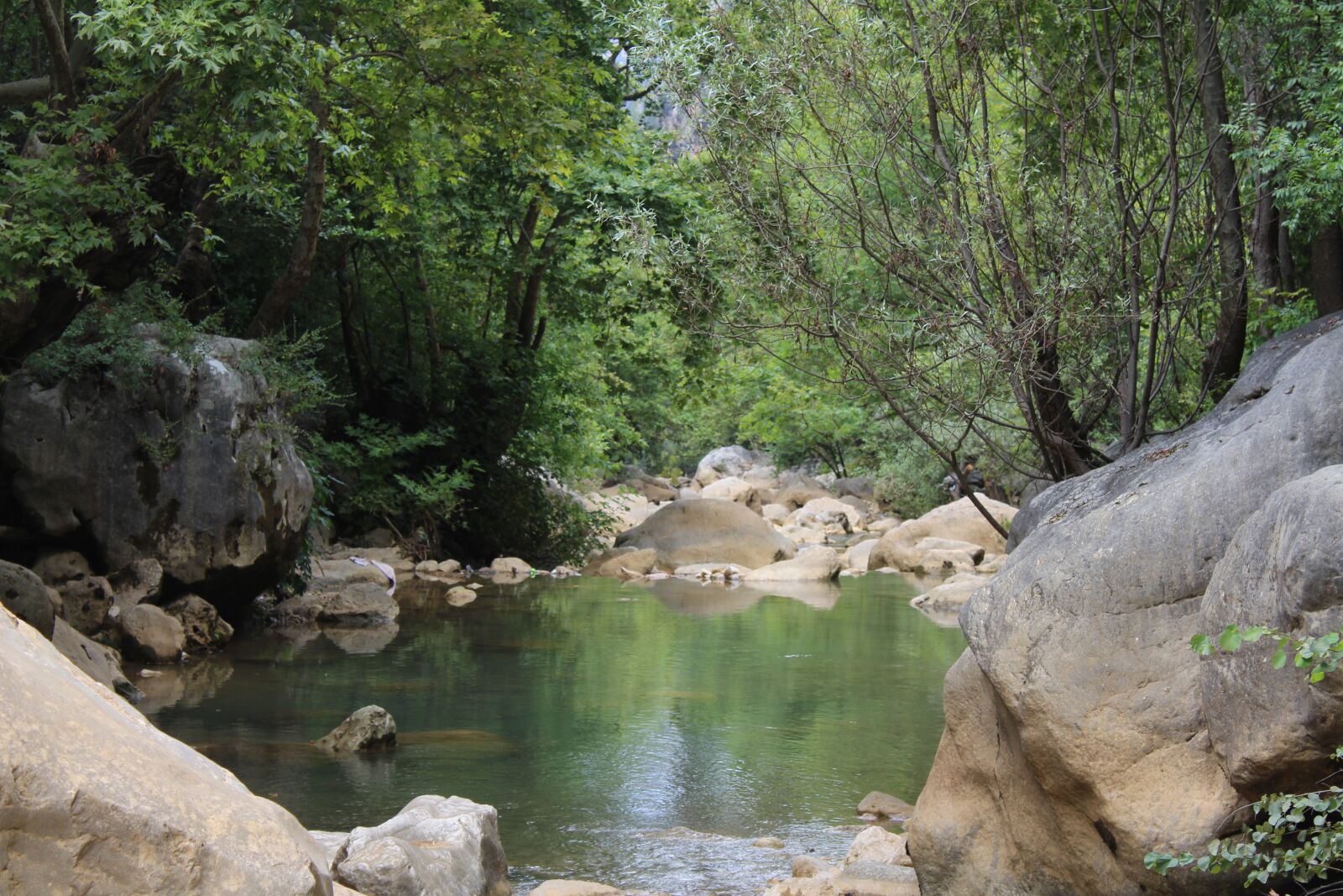 Canon EOS 700D (EOS Rebel T5i / EOS Kiss X7i) + Canon EF-S 18-55mm F3.5-5.6 III sample photo. River, nature, green photography