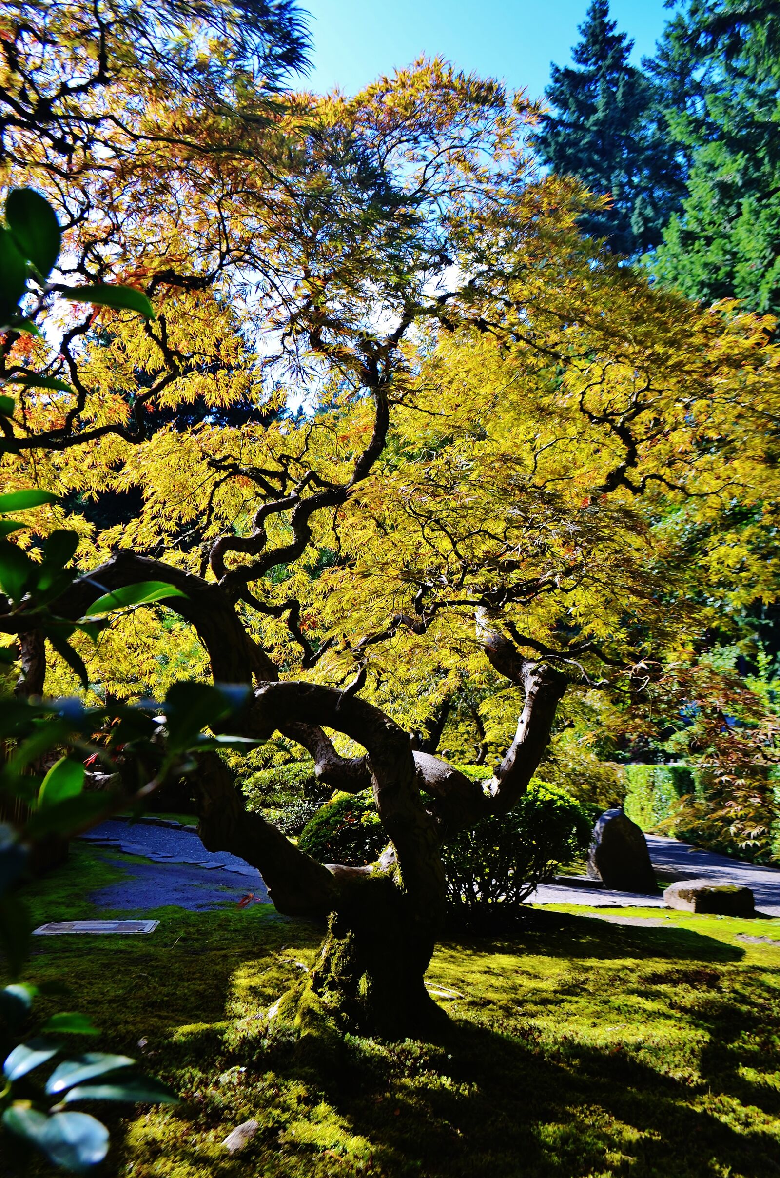 Nikon D5100 sample photo. Portland, oregon, usa photography