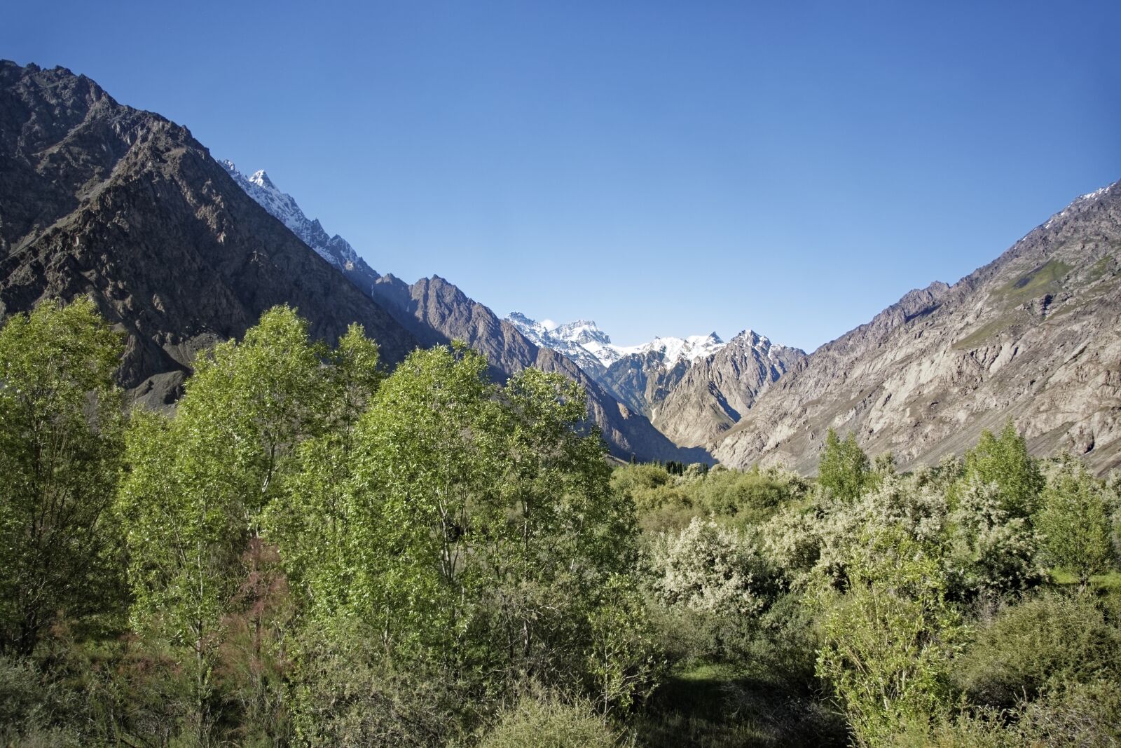 Nikon D500 sample photo. Tajikistan, pamir, high mountains photography
