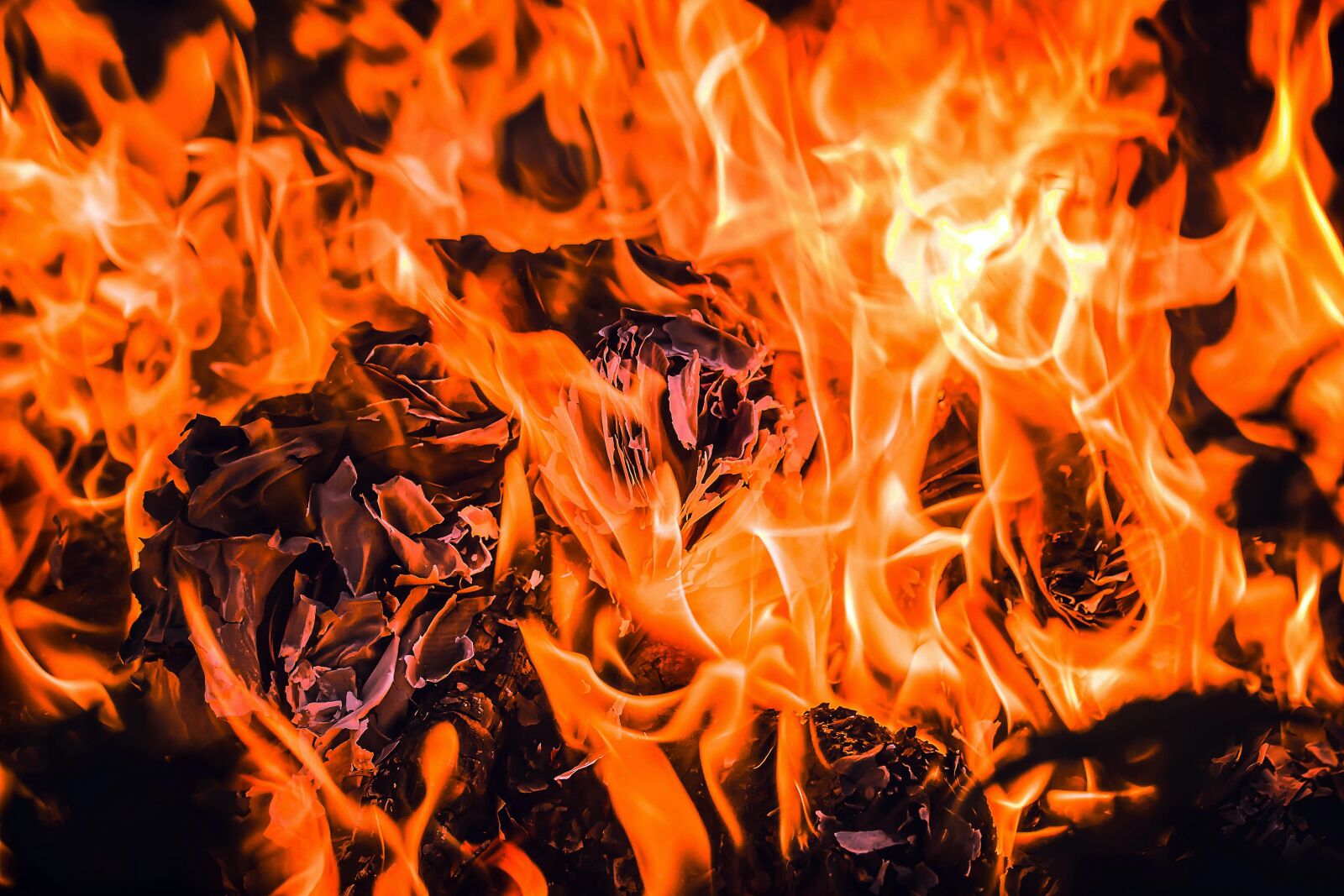 Canon EOS 650D (EOS Rebel T4i / EOS Kiss X6i) sample photo. Fire, embers, flame photography