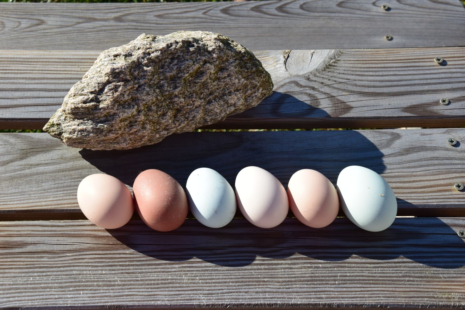 Nikon D5300 sample photo. Egg, food, nutrition photography