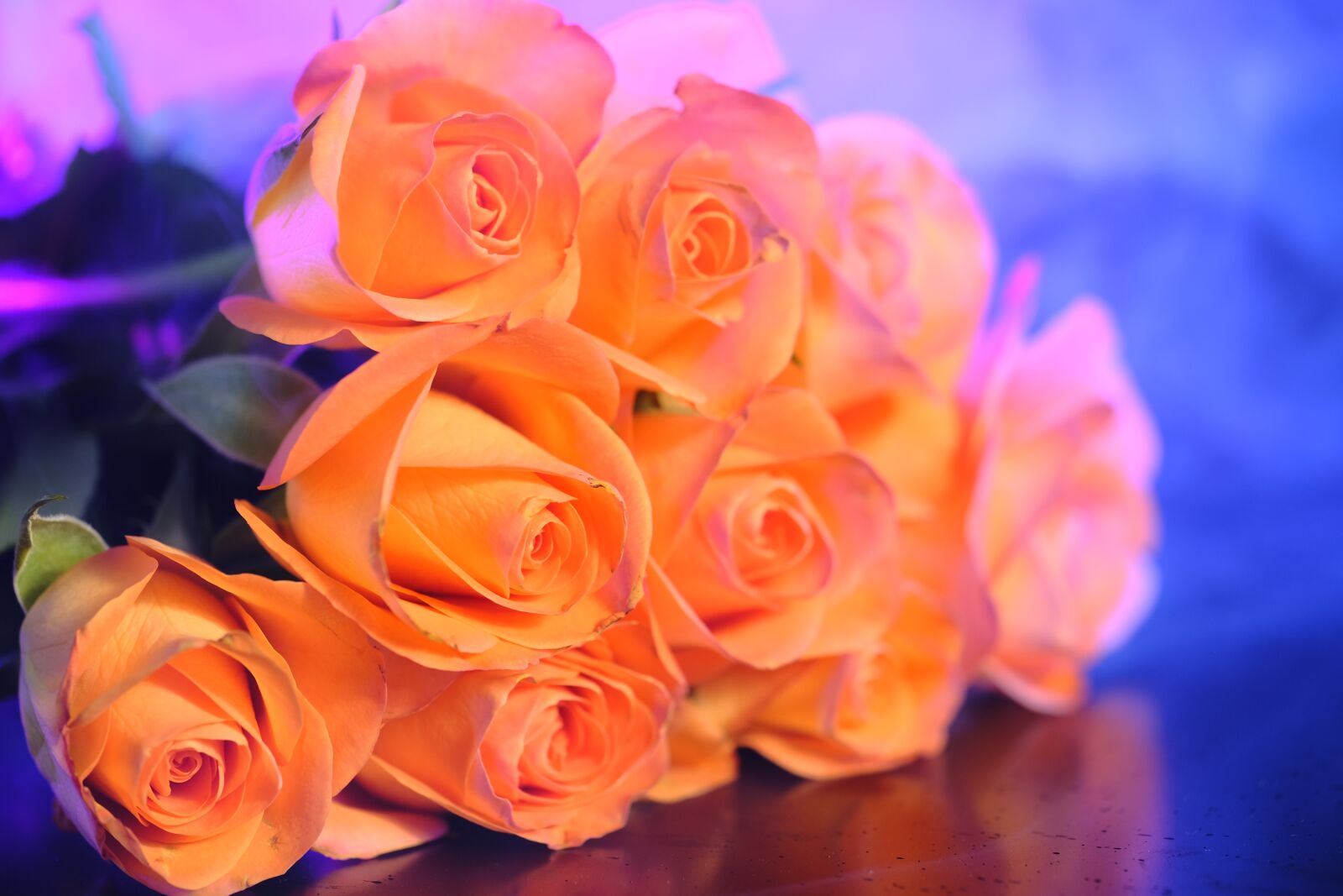 Fujifilm X-T2 + Fujifilm XF 80mm F2.8 R LM OIS WR Macro sample photo. Roses, flowers, bouquet photography