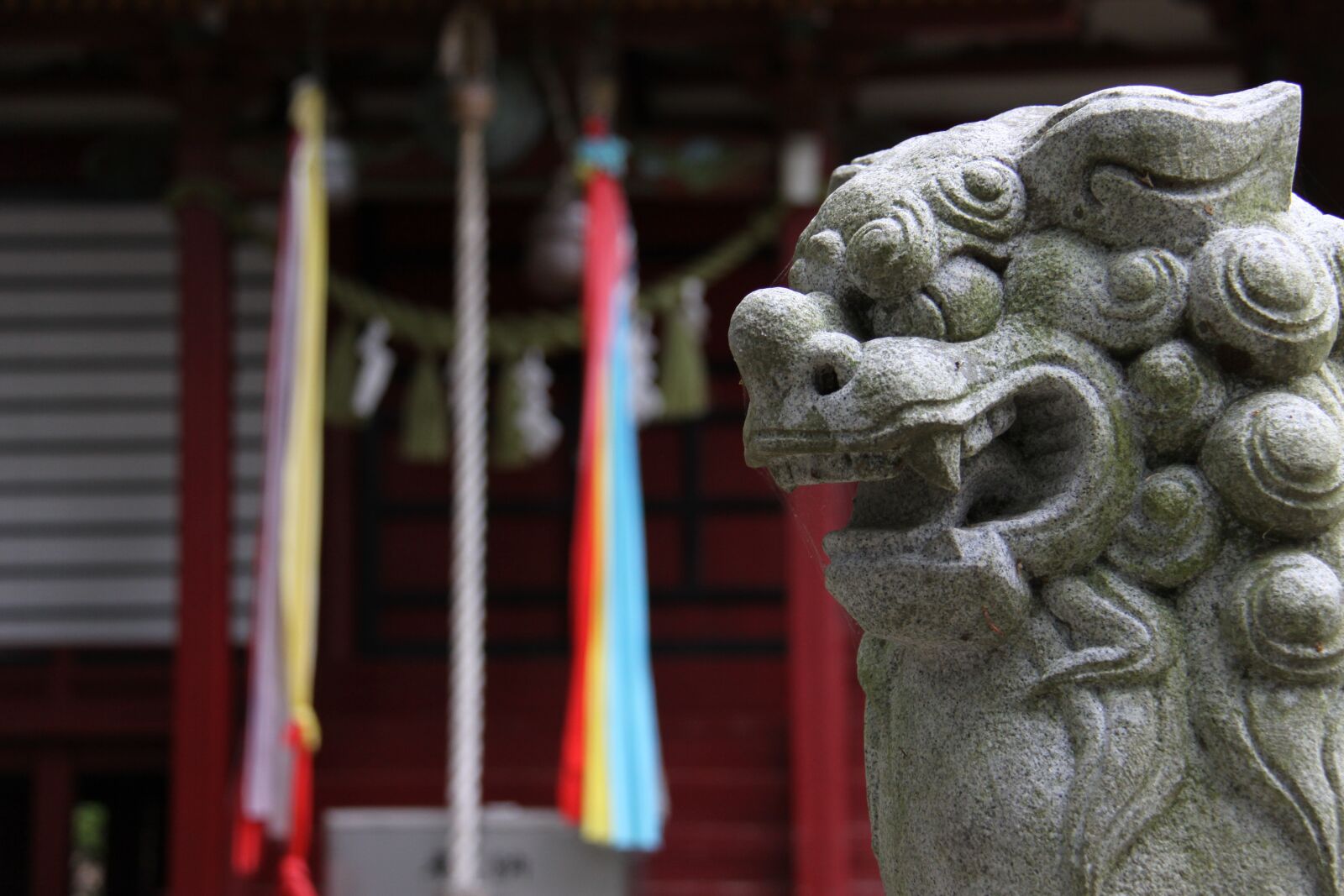 Canon EOS 50D sample photo. Shrine, guardian dogs, japan photography