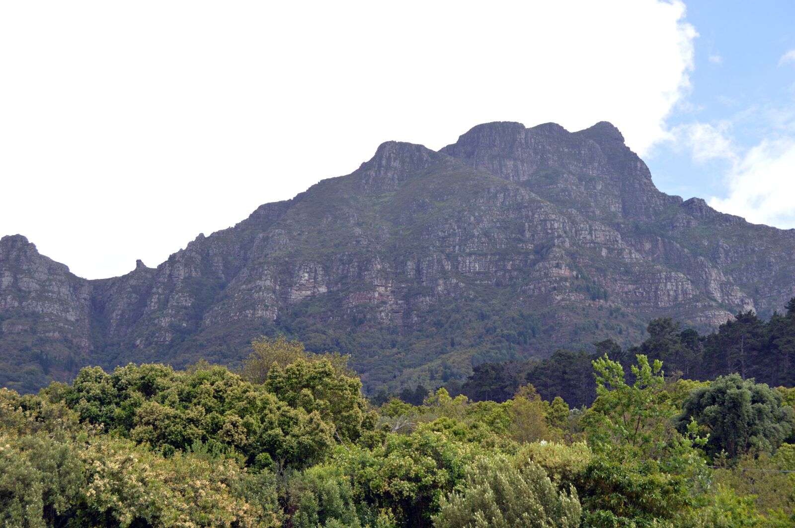 Nikon D3200 sample photo. Newlands, forest, mountain photography