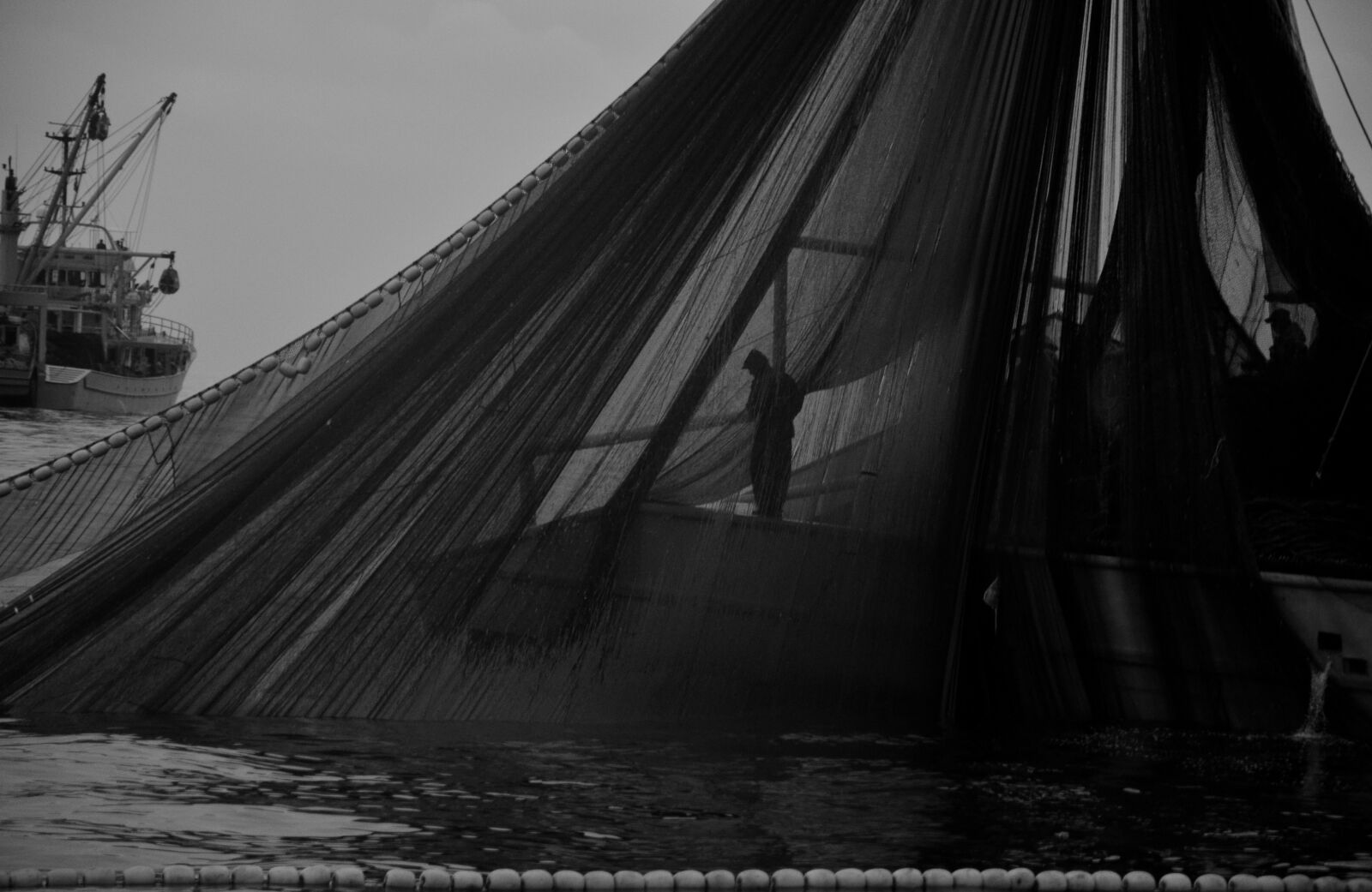 Nikon D5100 sample photo