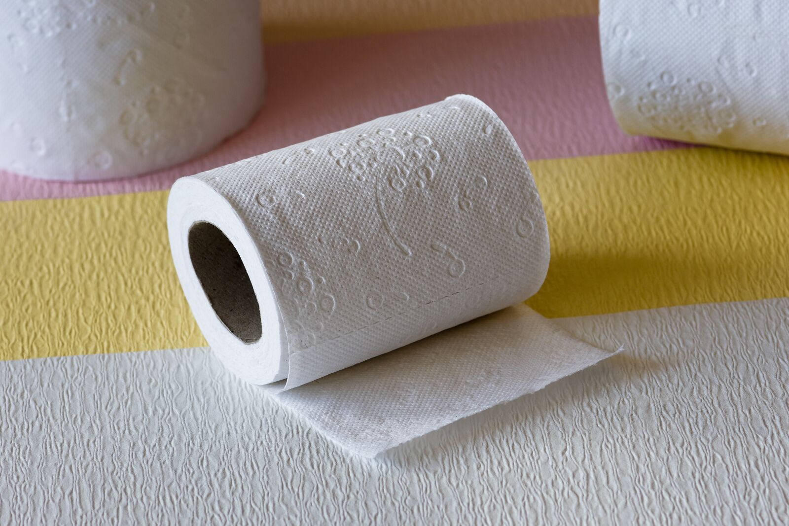 Nikon D7200 sample photo. Toilet paper, hygiene, role photography
