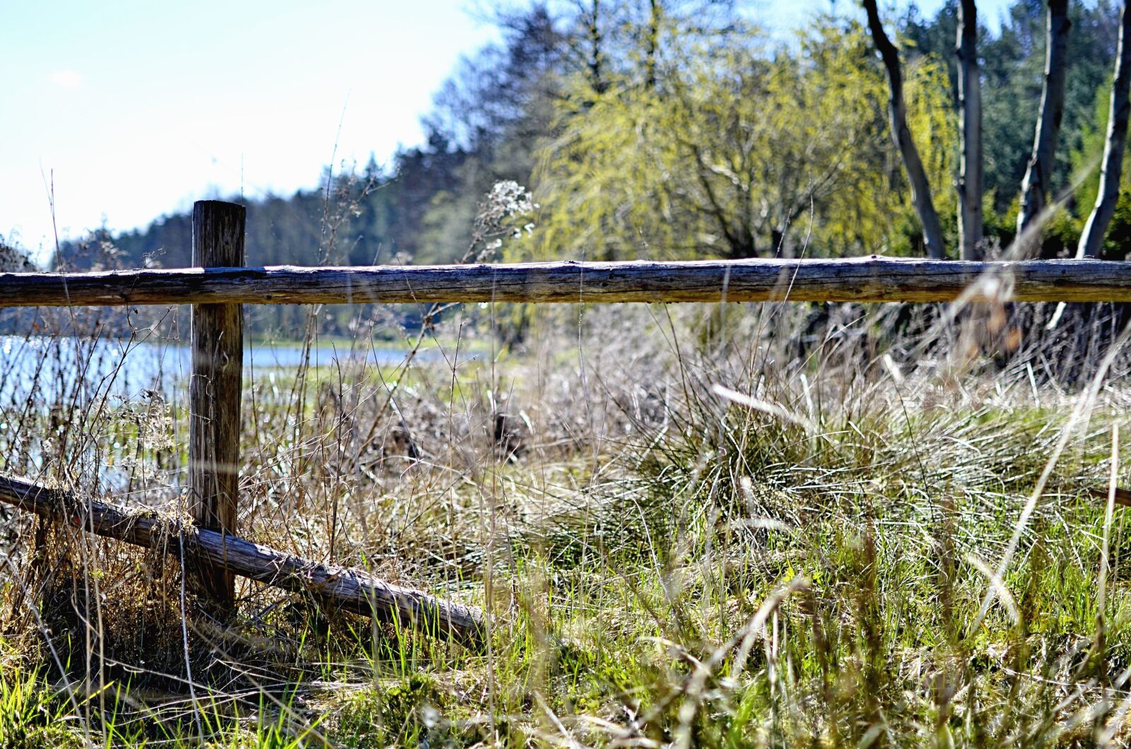 Nikon D5100 sample photo. Wood, fence, grass, lake photography