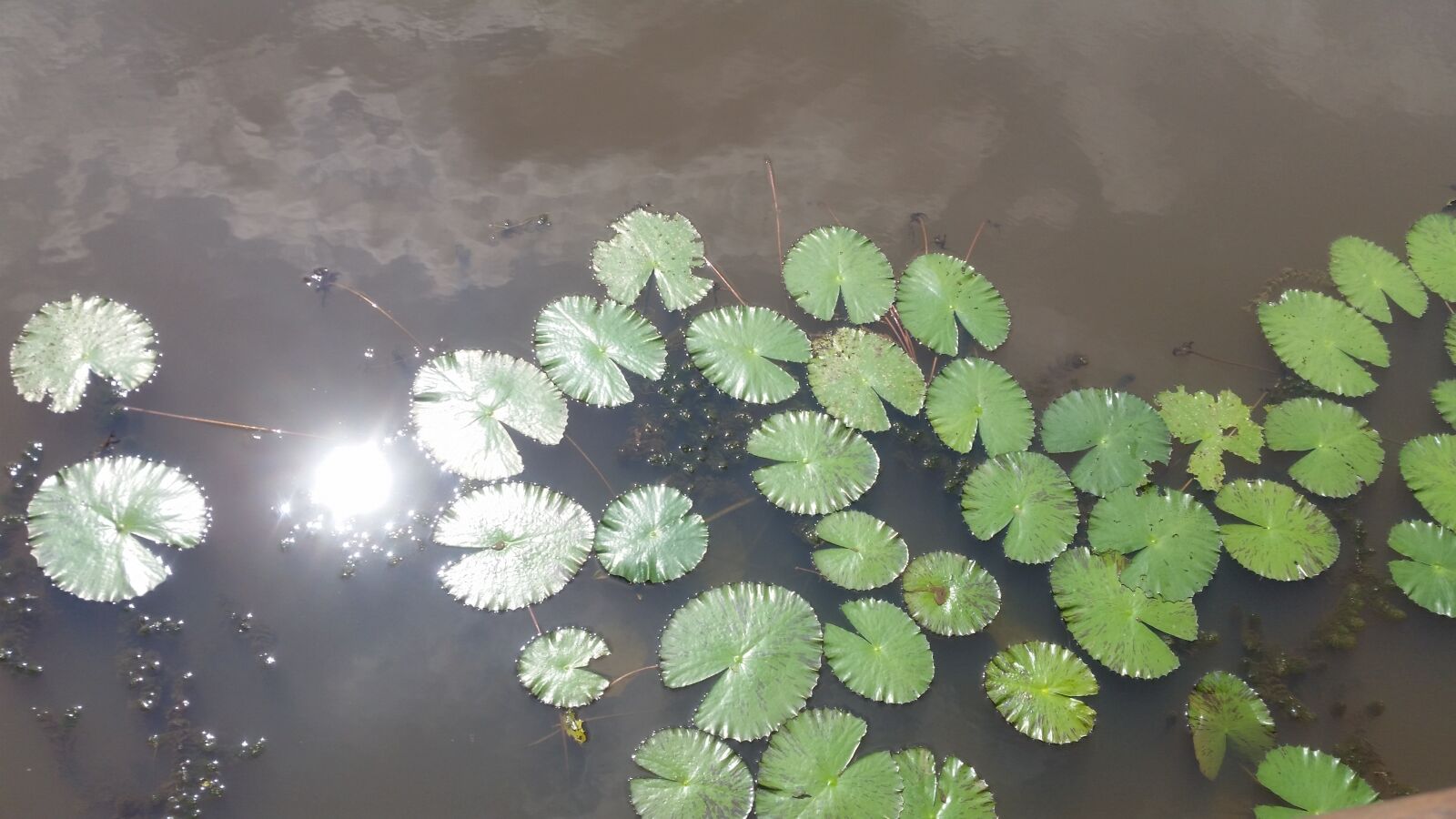 Samsung Galaxy S5 sample photo. Water, lake, nature photography