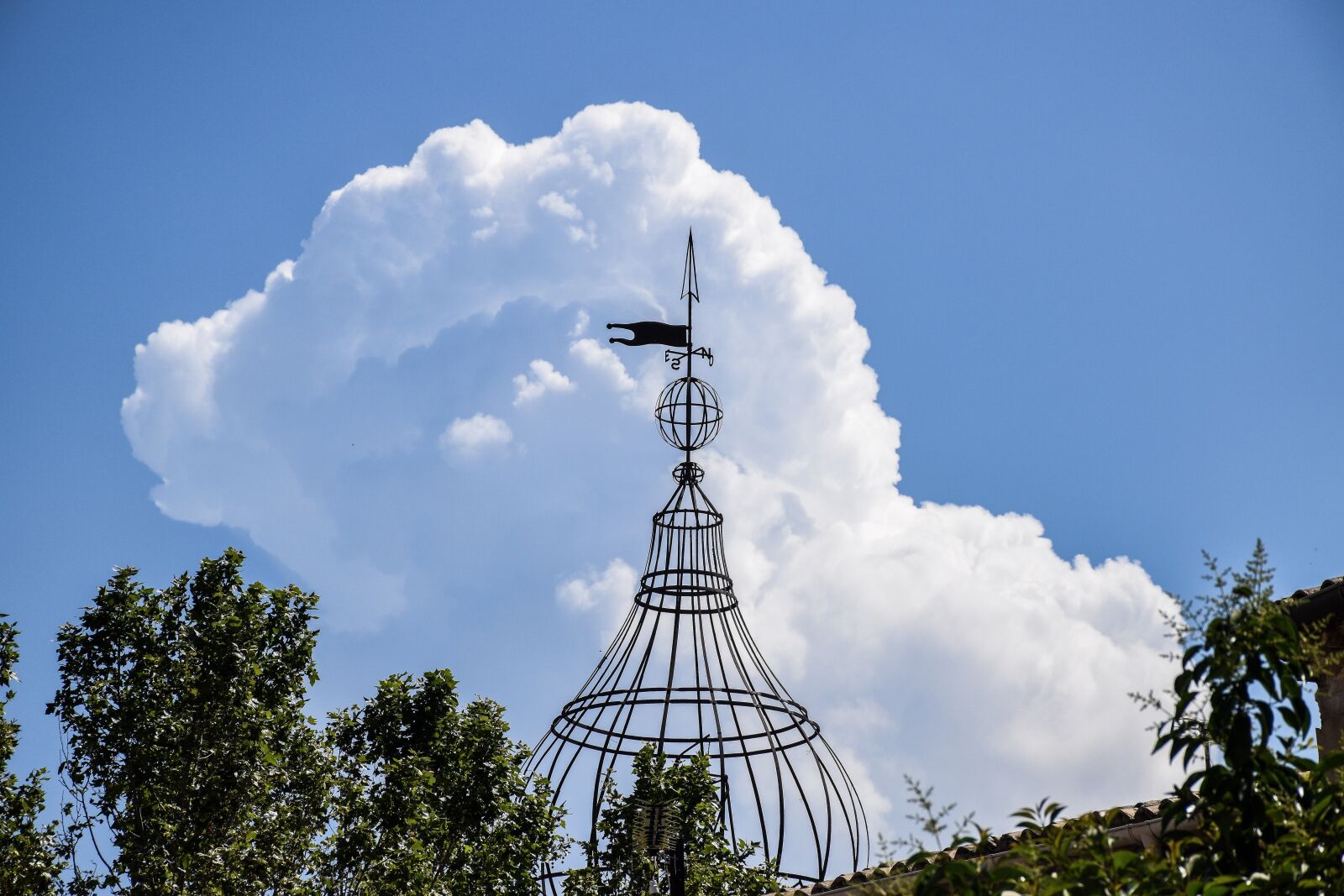 Nikon D5600 sample photo. Manosque, provence, france photography