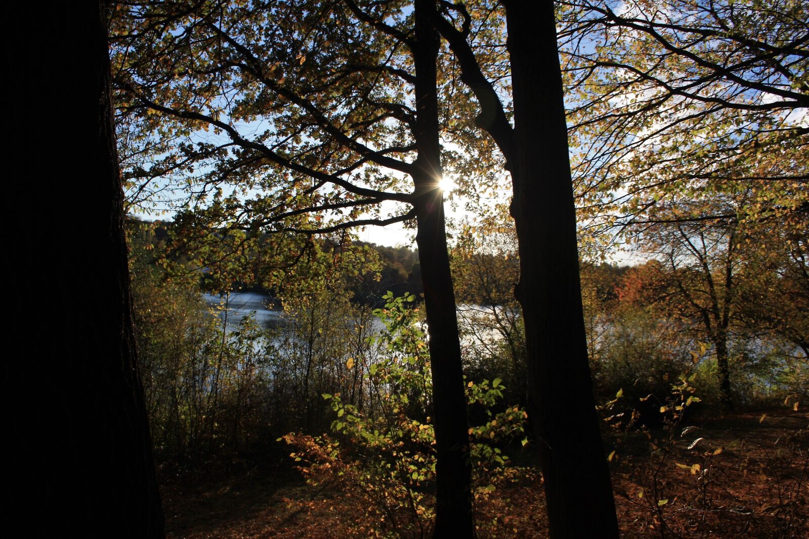 Canon EOS 1000D (EOS Digital Rebel XS / EOS Kiss F) sample photo. Landscape, forest, lake photography