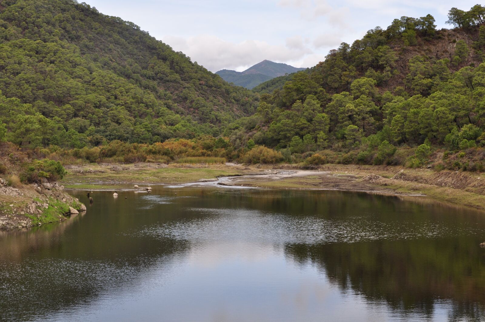 Nikon D5000 sample photo. Nature, marsh, open air photography