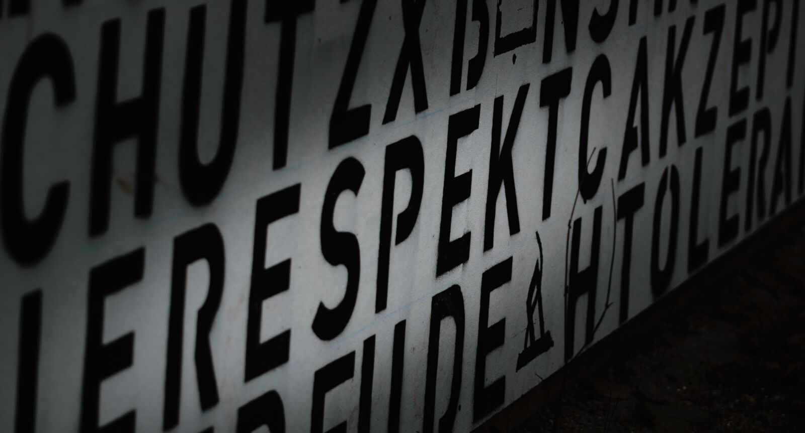 Nikon D5300 sample photo. Respect, font, test photography