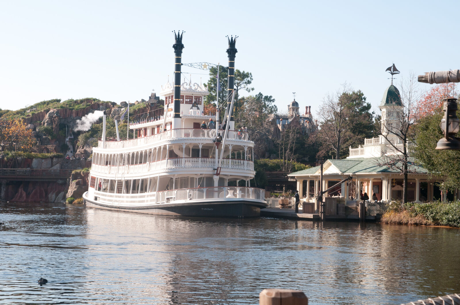 Nikon D300 sample photo. Disney, land, tokyo, ferry photography
