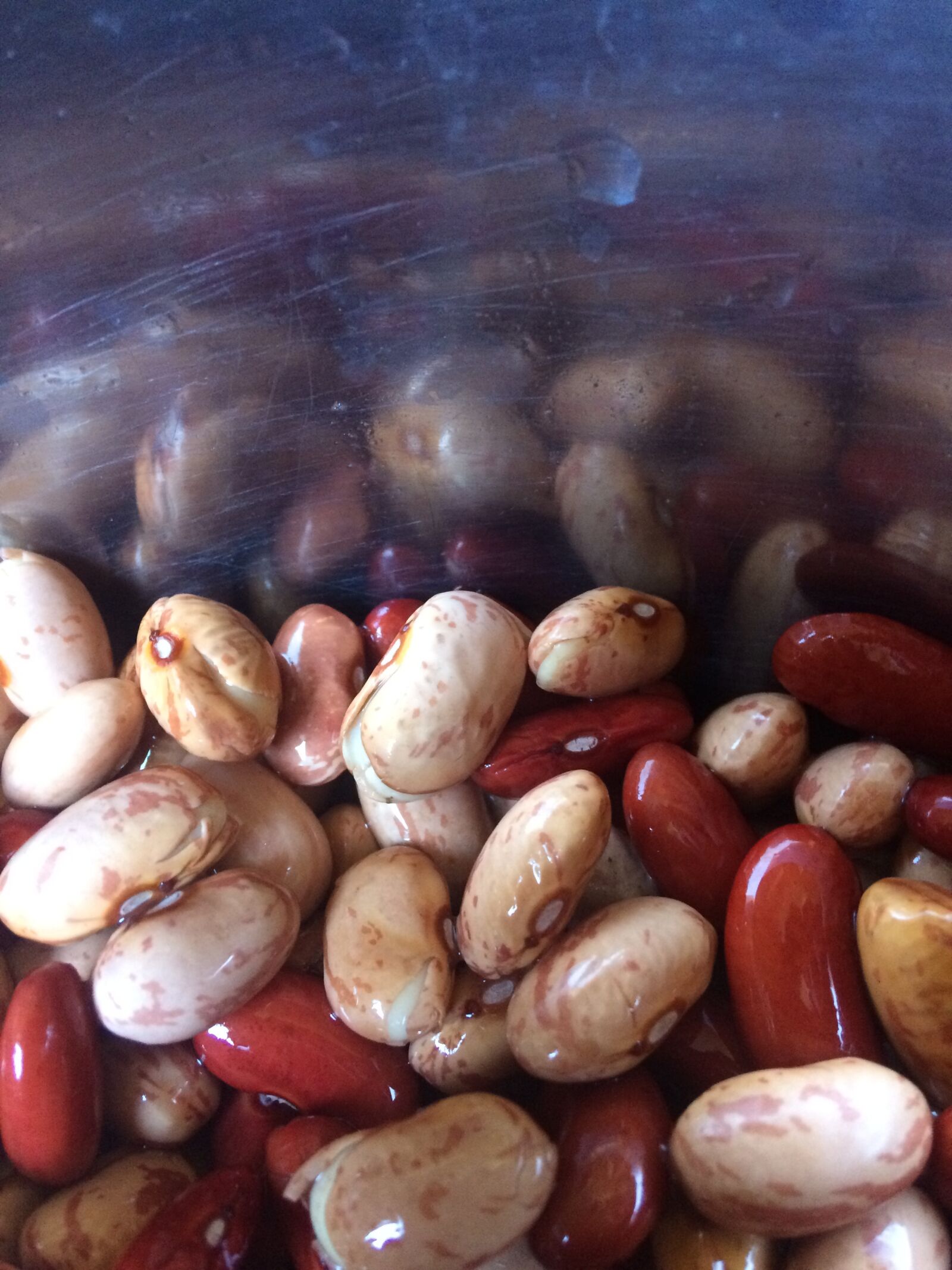 iPhone 5s back camera 4.15mm f/2.2 sample photo. Beans, bean, food photography