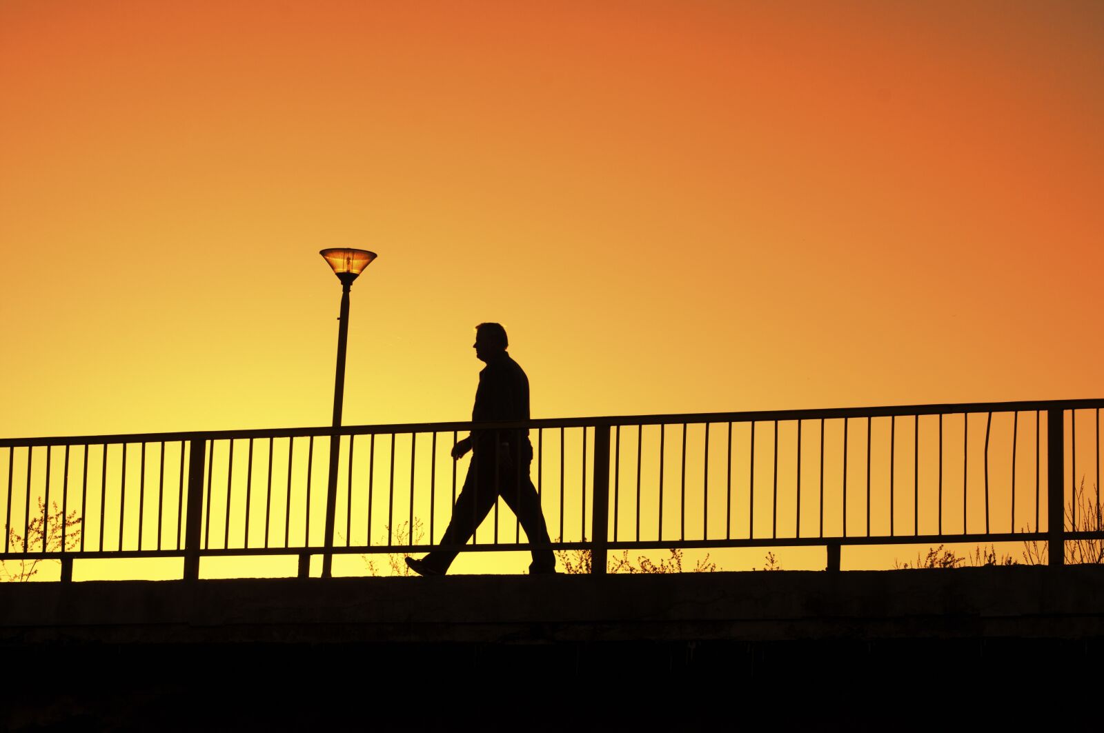 Nikon D5000 sample photo. Sunset, dawn, silhouette photography