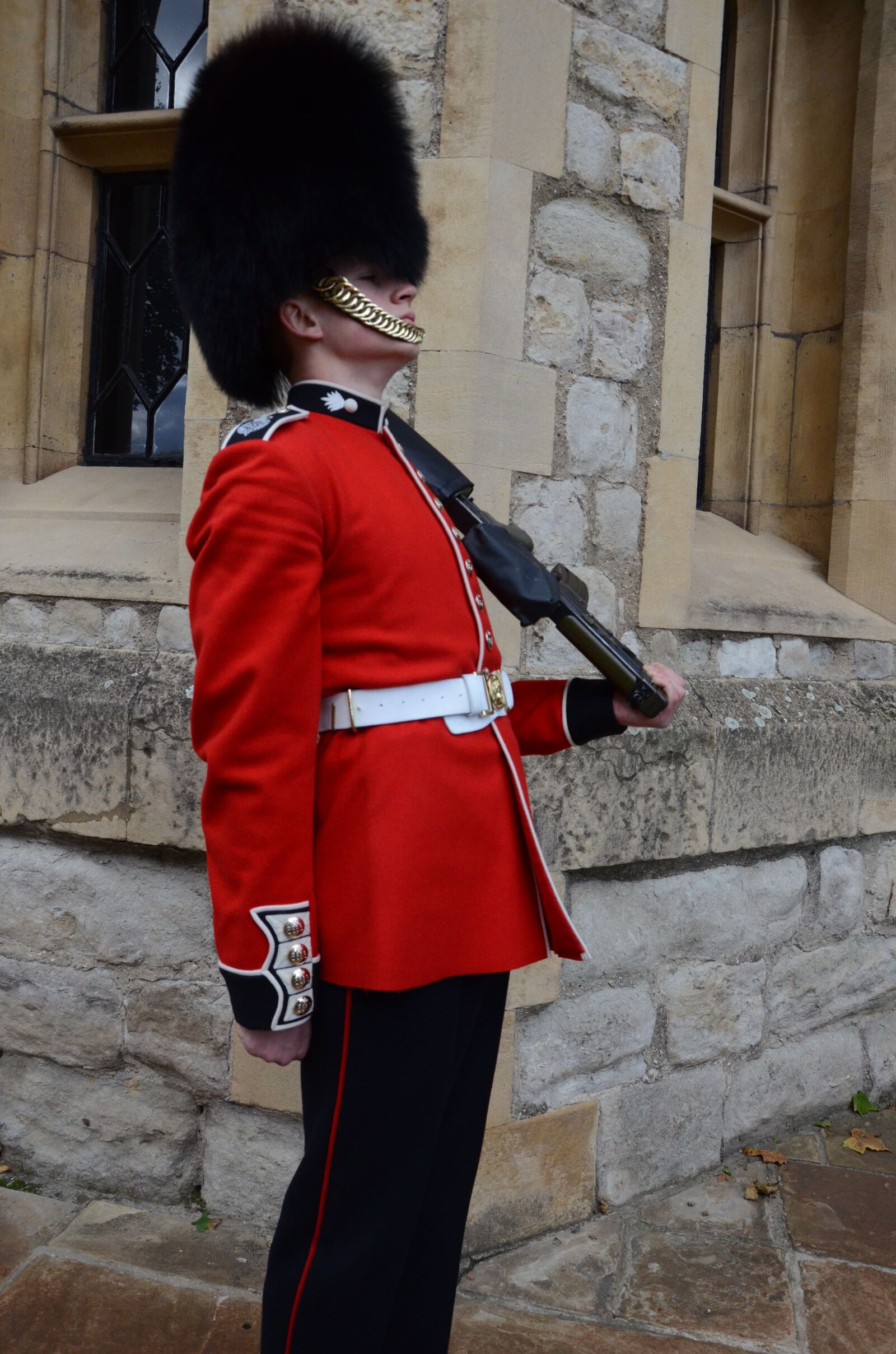 Nikon D7000 sample photo. Soldier, queen, england photography