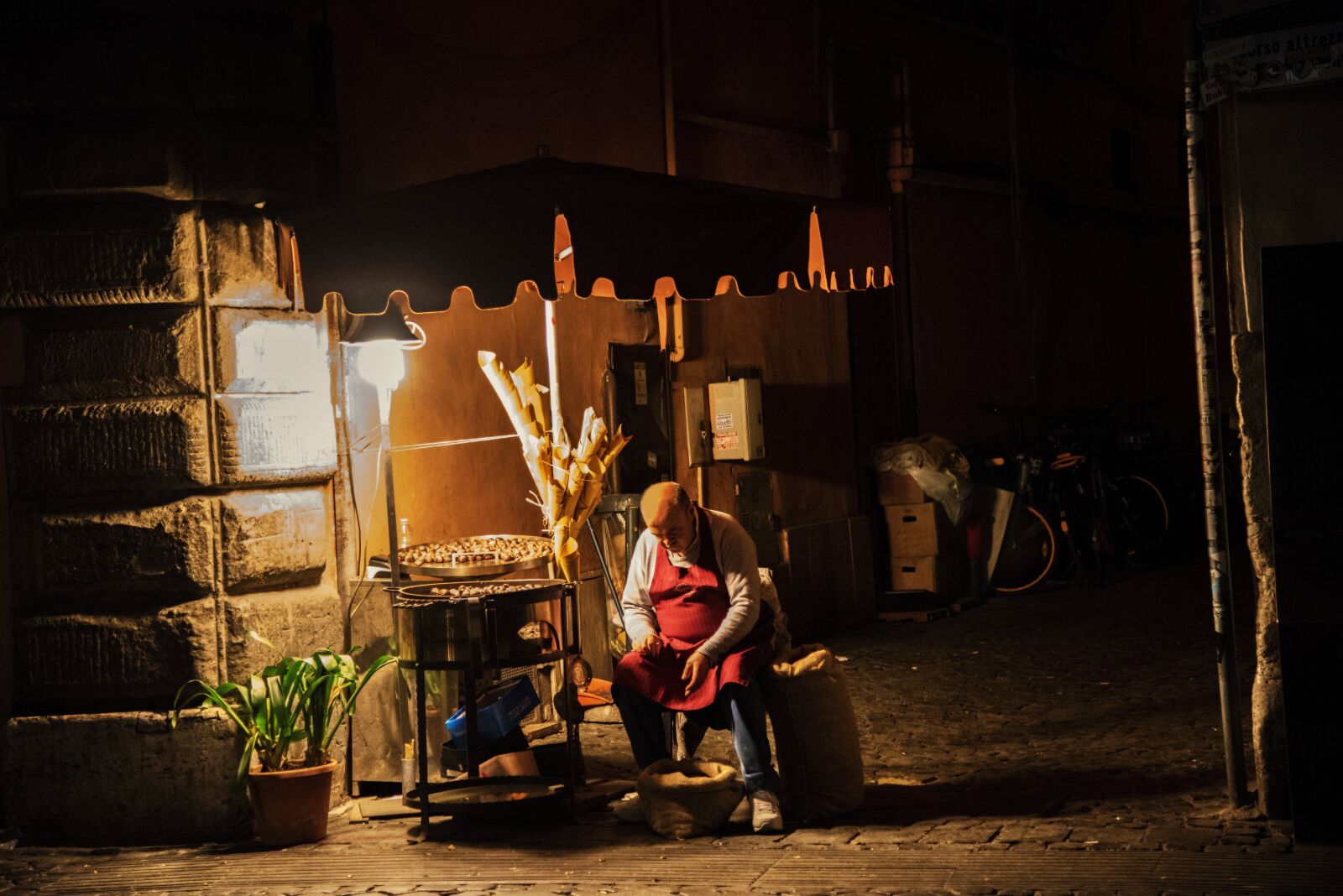 Nikon D750 sample photo. Roast chestnuts, rome, city photography