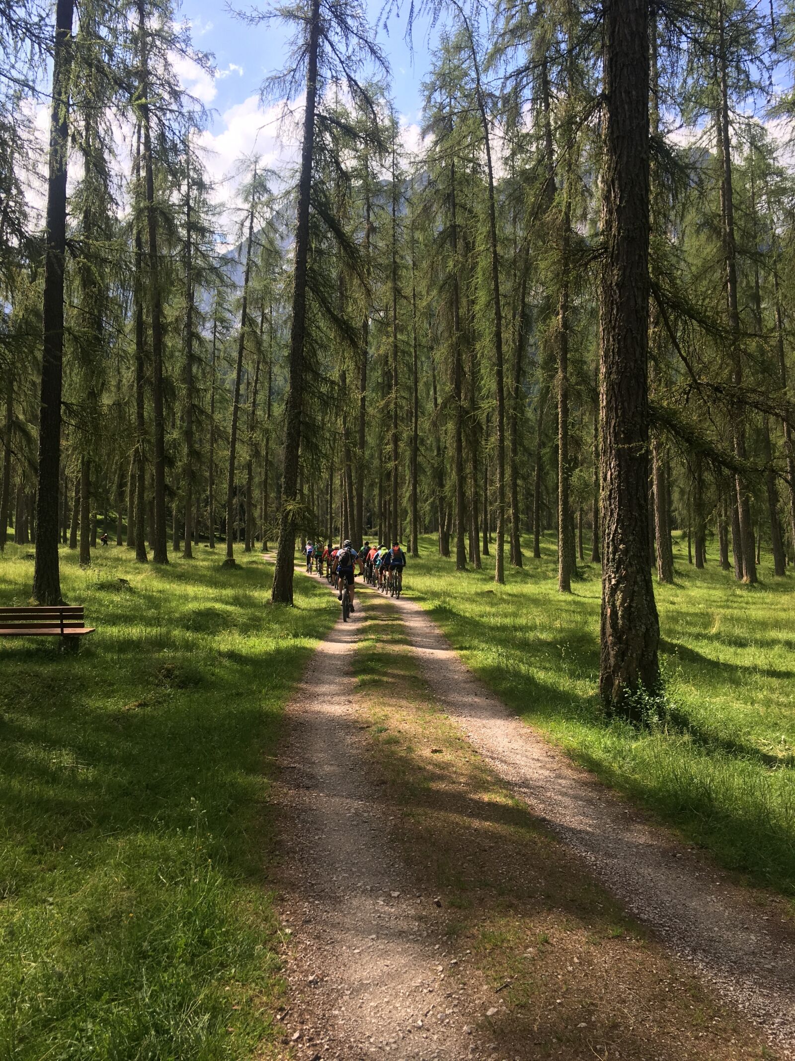 Apple iPhone 6s sample photo. Mountain bike, mtb photography