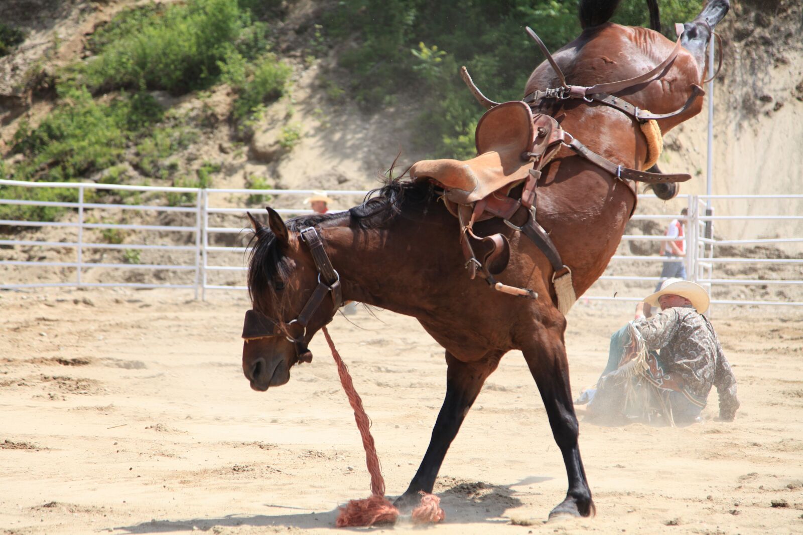 Canon EOS 5D Mark II sample photo. Rodeo, cowboy, fear photography