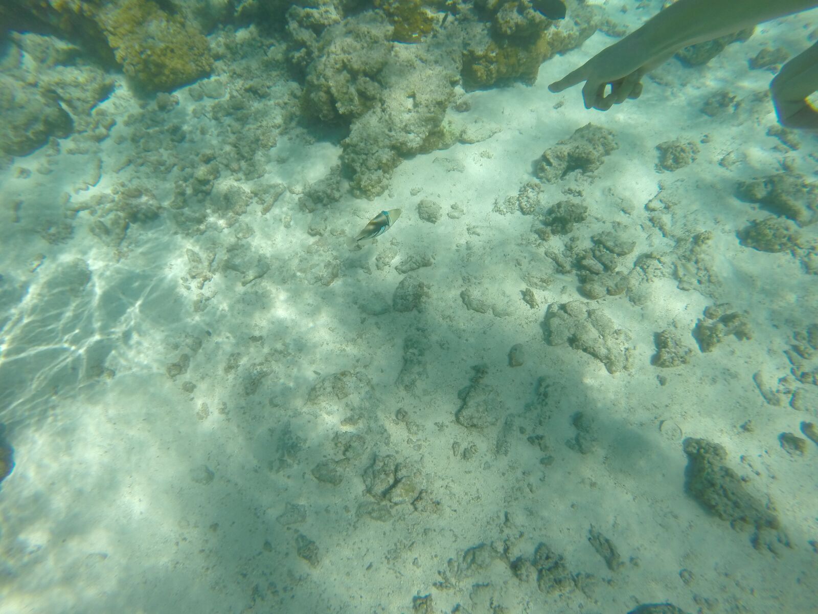GoPro HERO3+ Black Edition sample photo. Saipan06, usa, scenery photography