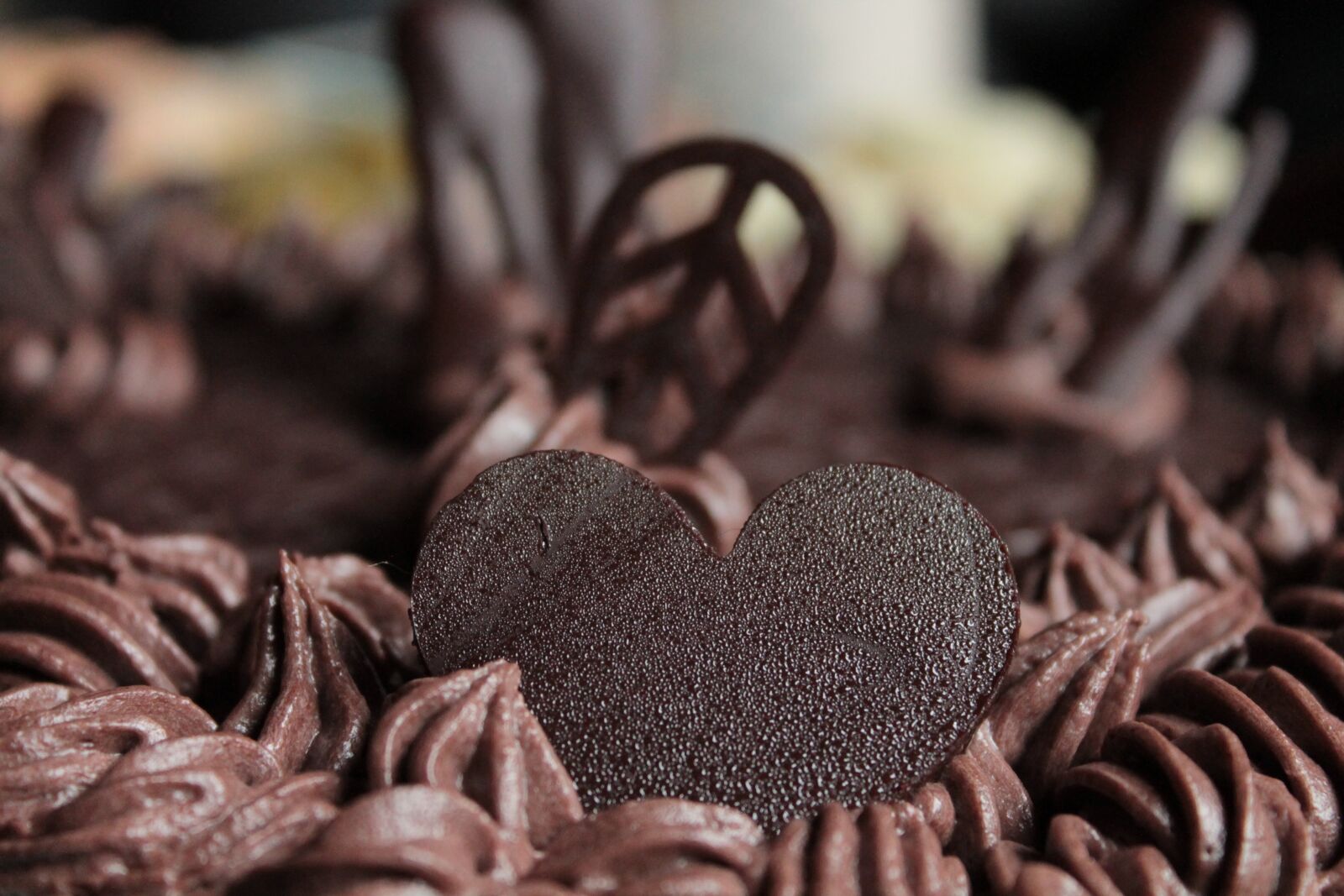 Canon EOS 1100D (EOS Rebel T3 / EOS Kiss X50) sample photo. Chocolate, heart, love photography