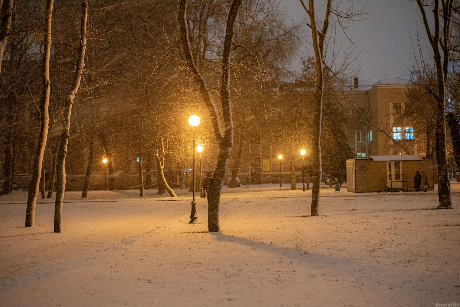 Nikon D750 sample photo