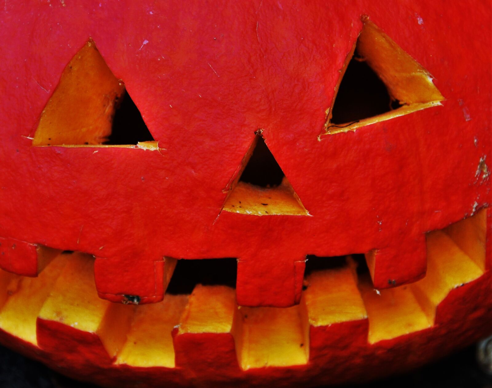 Canon EOS 550D (EOS Rebel T2i / EOS Kiss X4) sample photo. Pumpkin head, halloween, thanksgiving photography