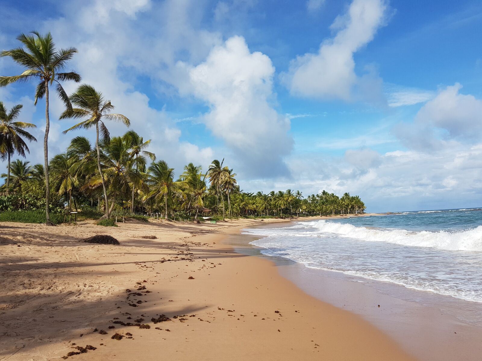 Samsung Galaxy S7 Edge sample photo. Beach, landscape, nature photography