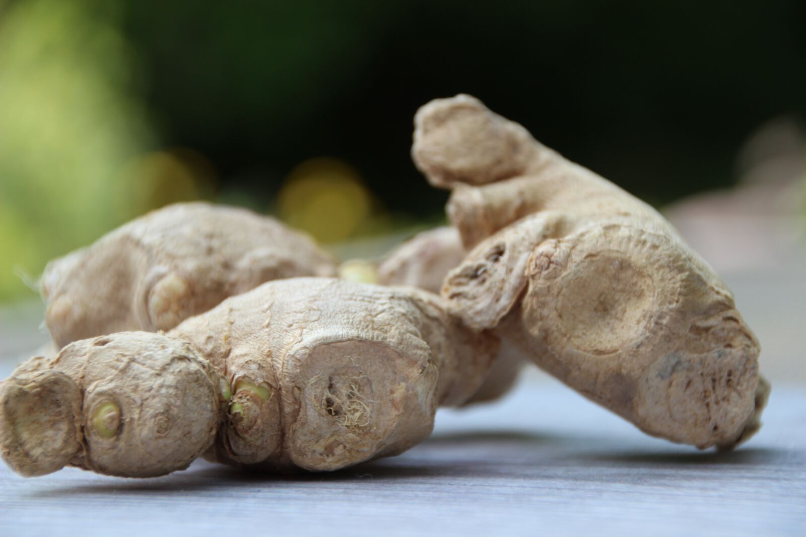 Canon EOS 600D (Rebel EOS T3i / EOS Kiss X5) sample photo. Ginger, spice, ginger root photography
