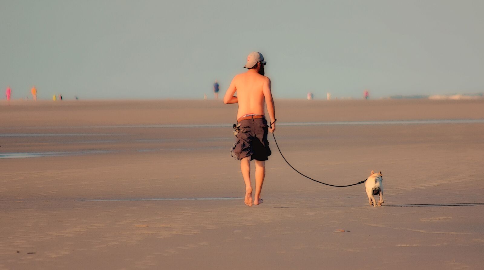 Nikon D7200 sample photo. Dog, leash, man photography