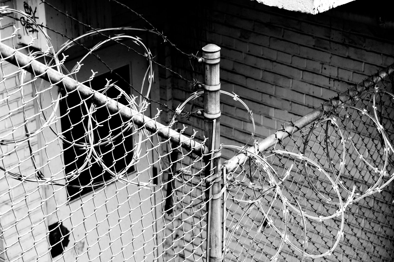 Nikon D7200 sample photo. Barbed wire, fence, wire photography