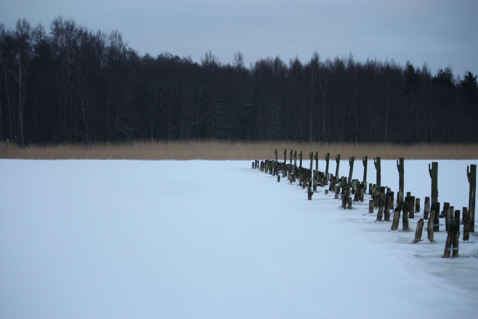 Canon EOS 450D (EOS Rebel XSi / EOS Kiss X2) sample photo. Finland, winter, snow photography