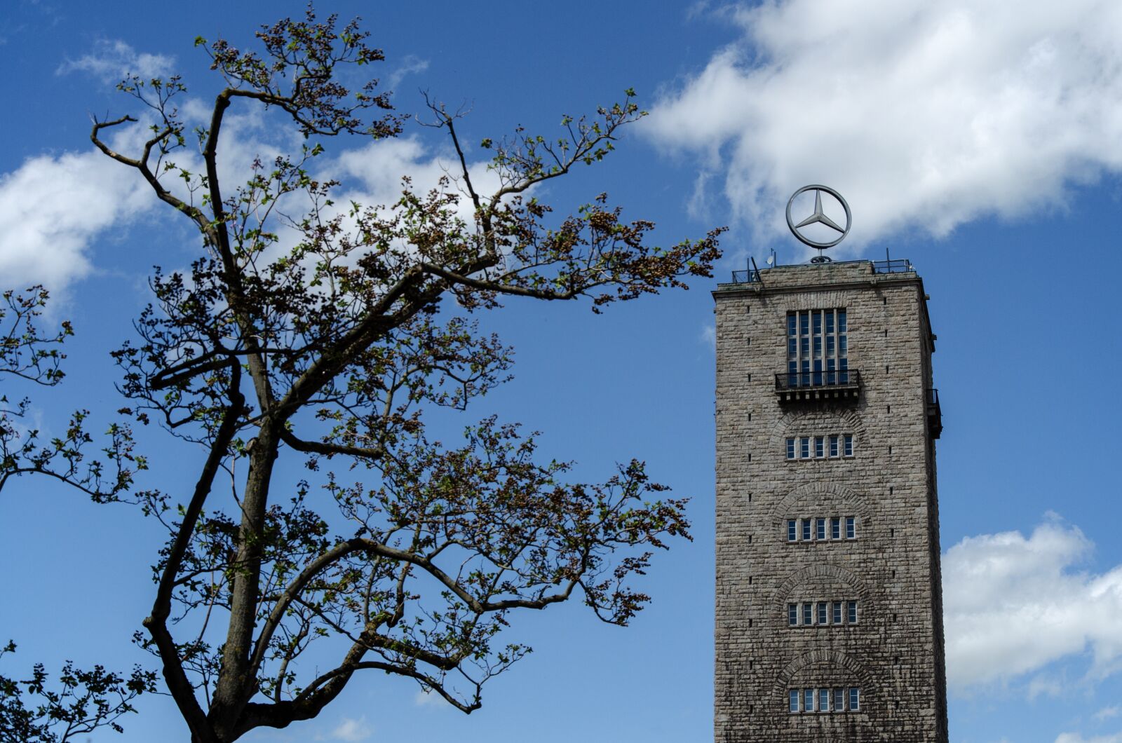 Nikon D5100 sample photo. Sky, tree, stuttgart photography