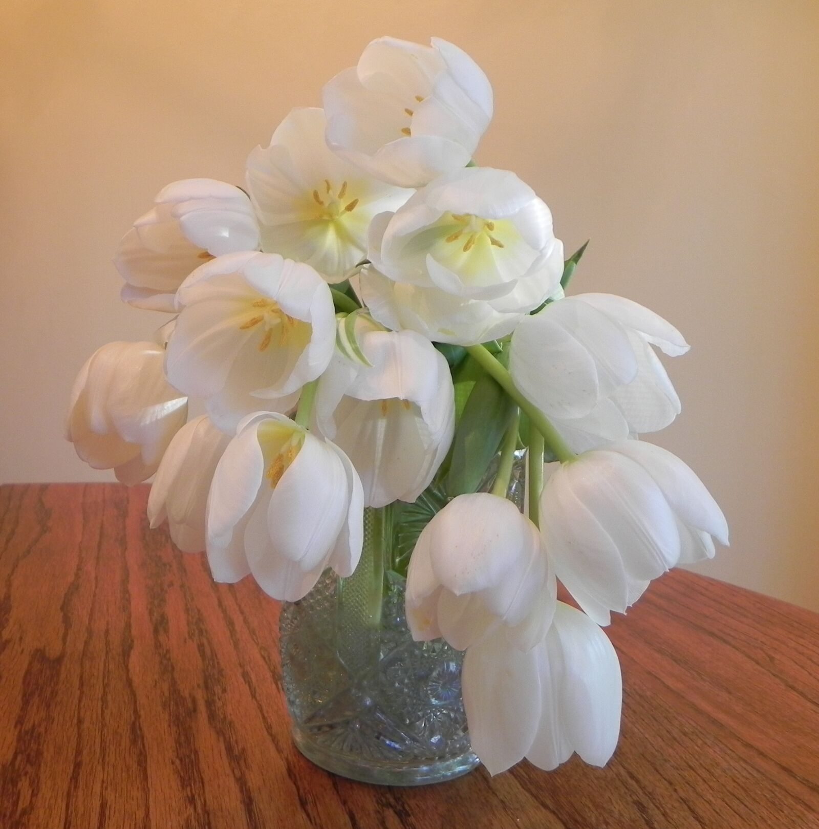 Nikon Coolpix P100 sample photo. Flower, tulip, white photography