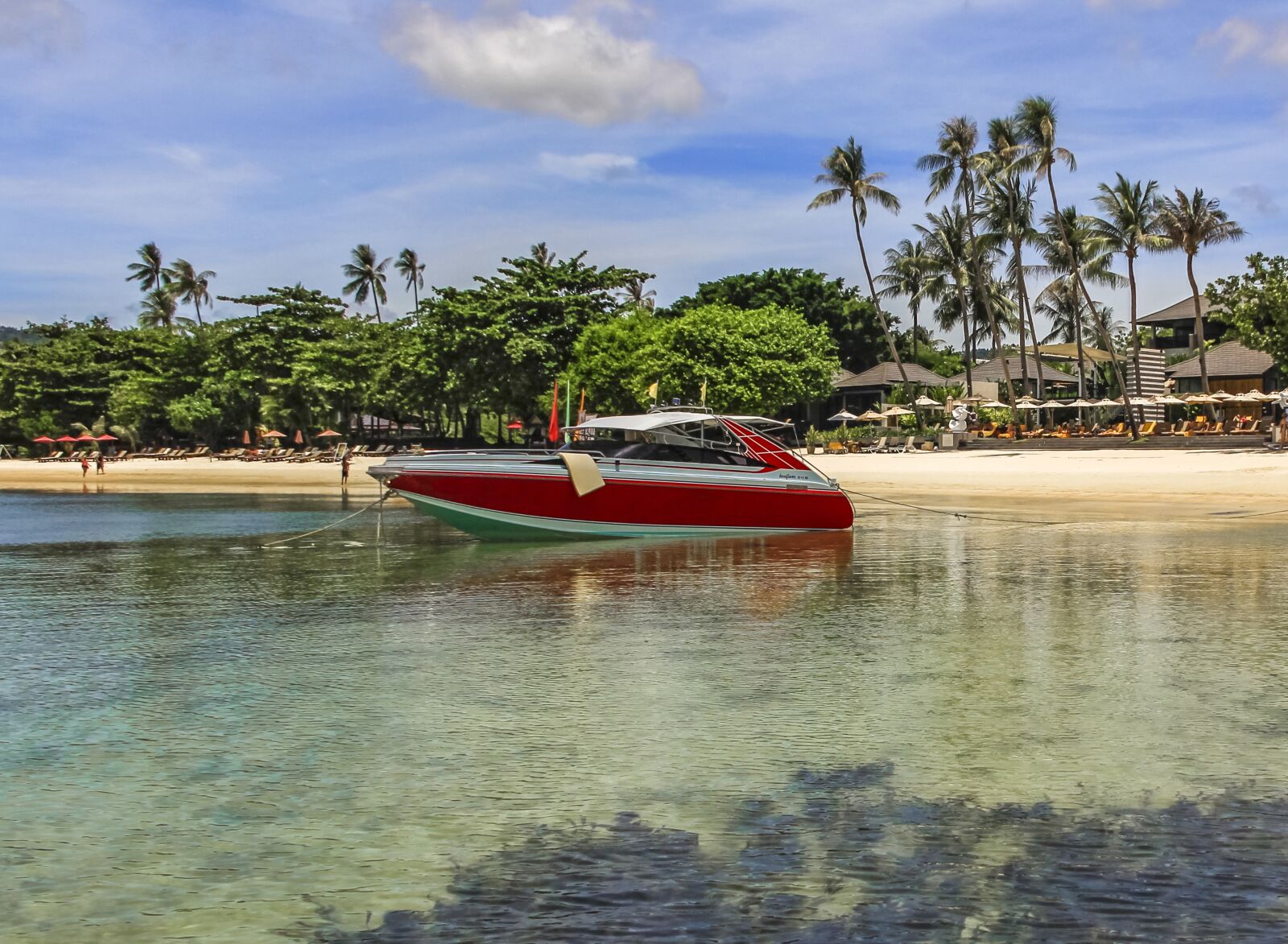 Canon EOS 60D sample photo. Boat, sea, palms photography