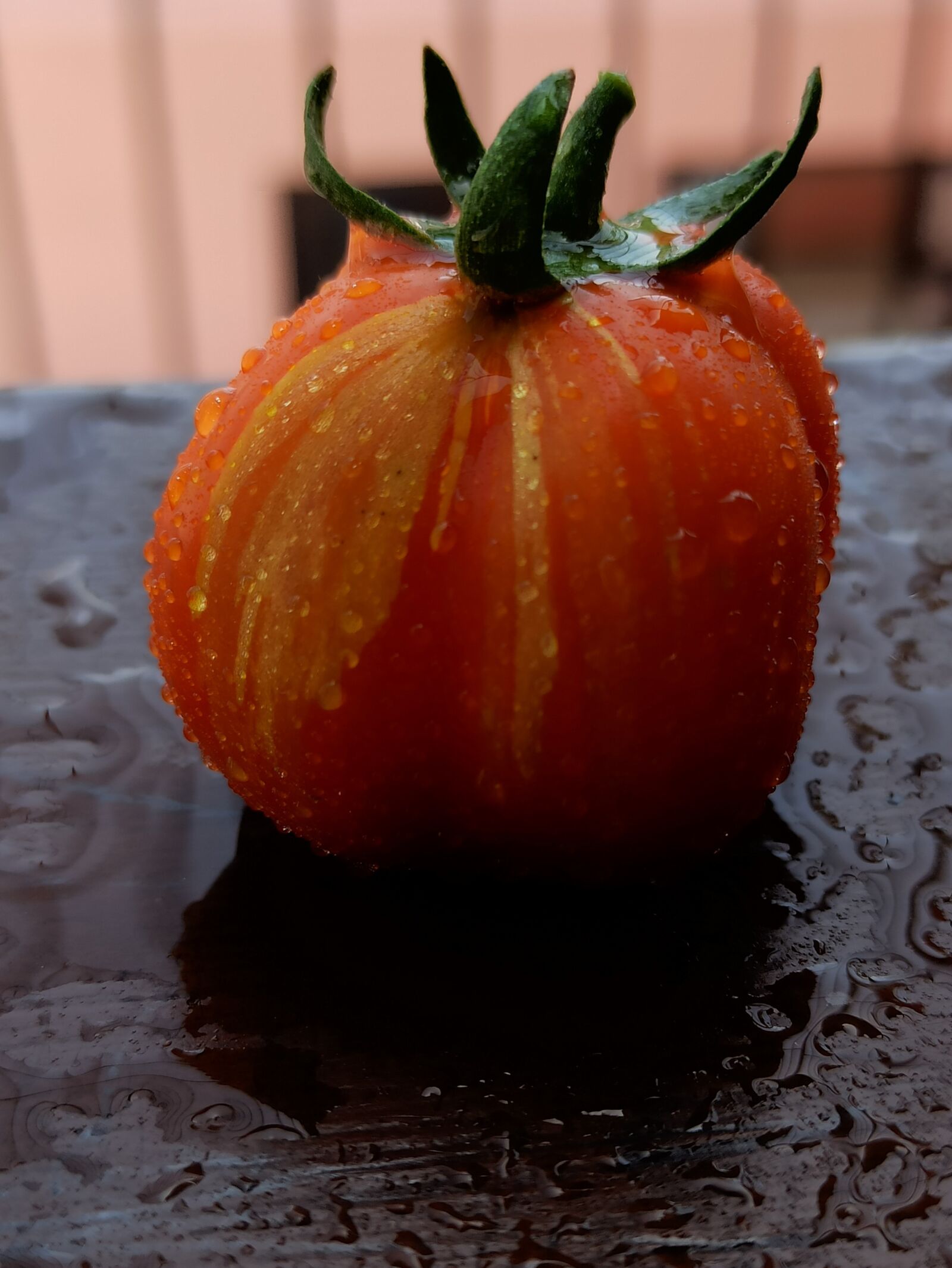 Xiaomi Redmi Note 8 Pro sample photo. Vegetable, multicoloured tomato, nature photography