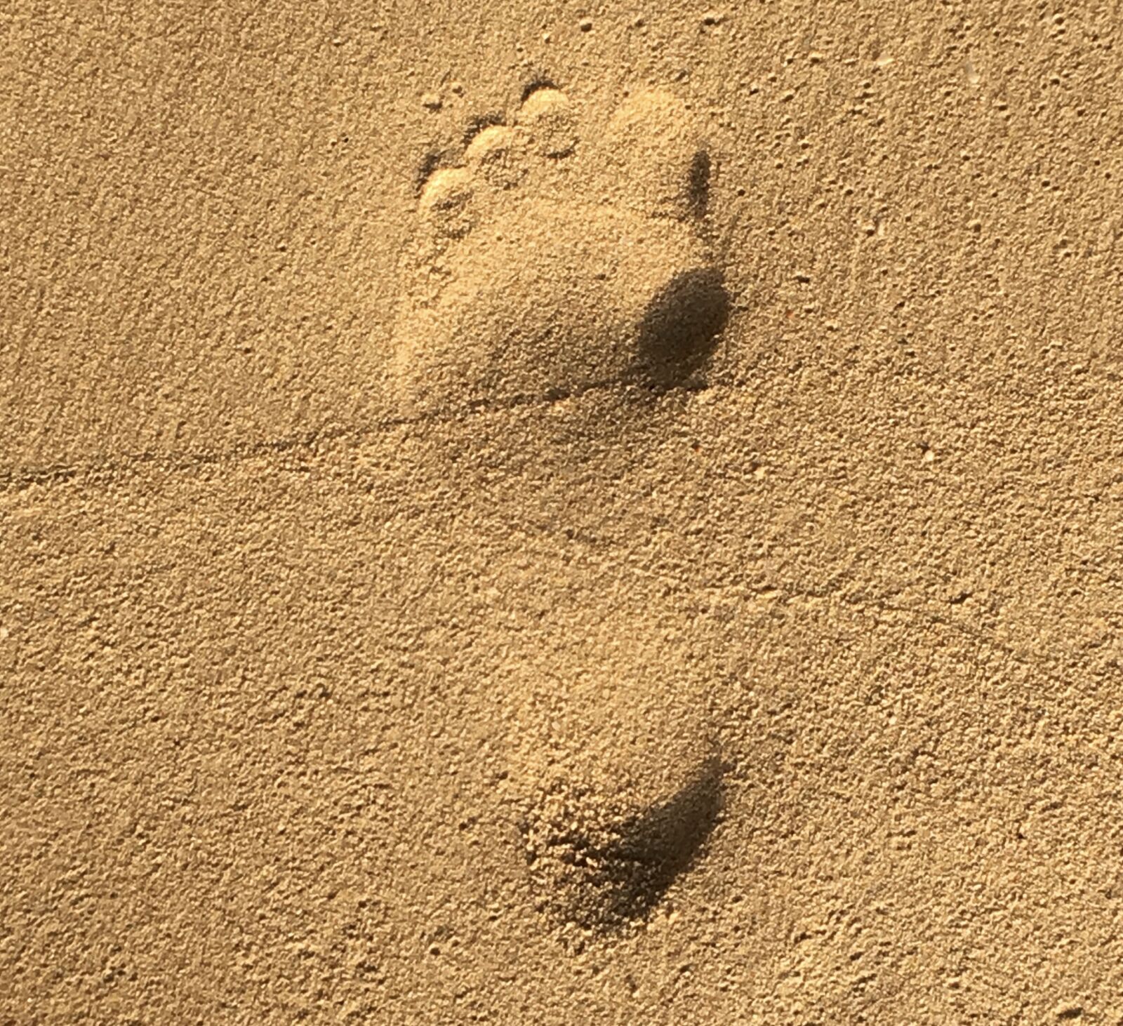 Apple iPhone 6s sample photo. Footprint photography