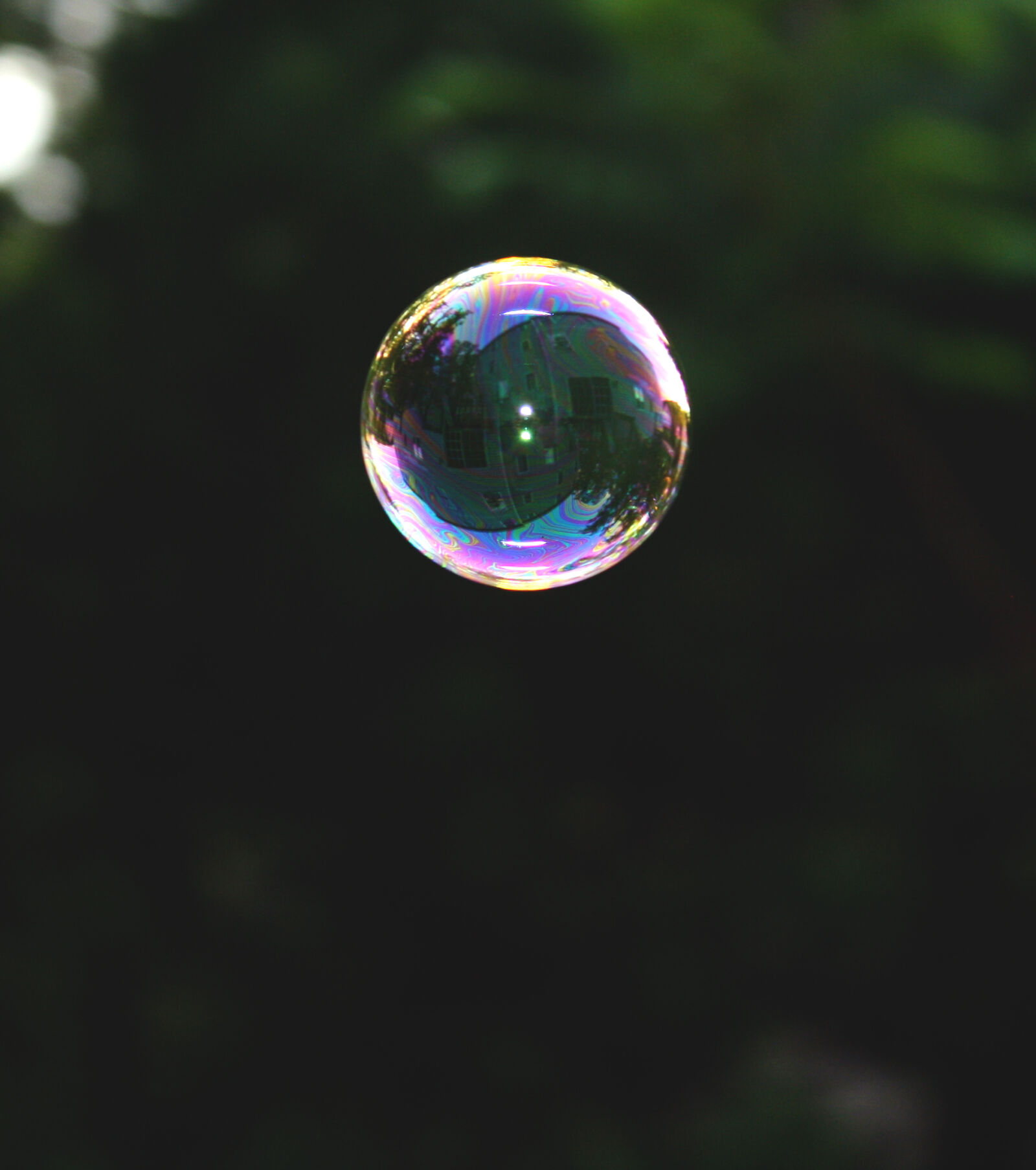 Canon EOS 1000D (EOS Digital Rebel XS / EOS Kiss F) sample photo. Bubble photography