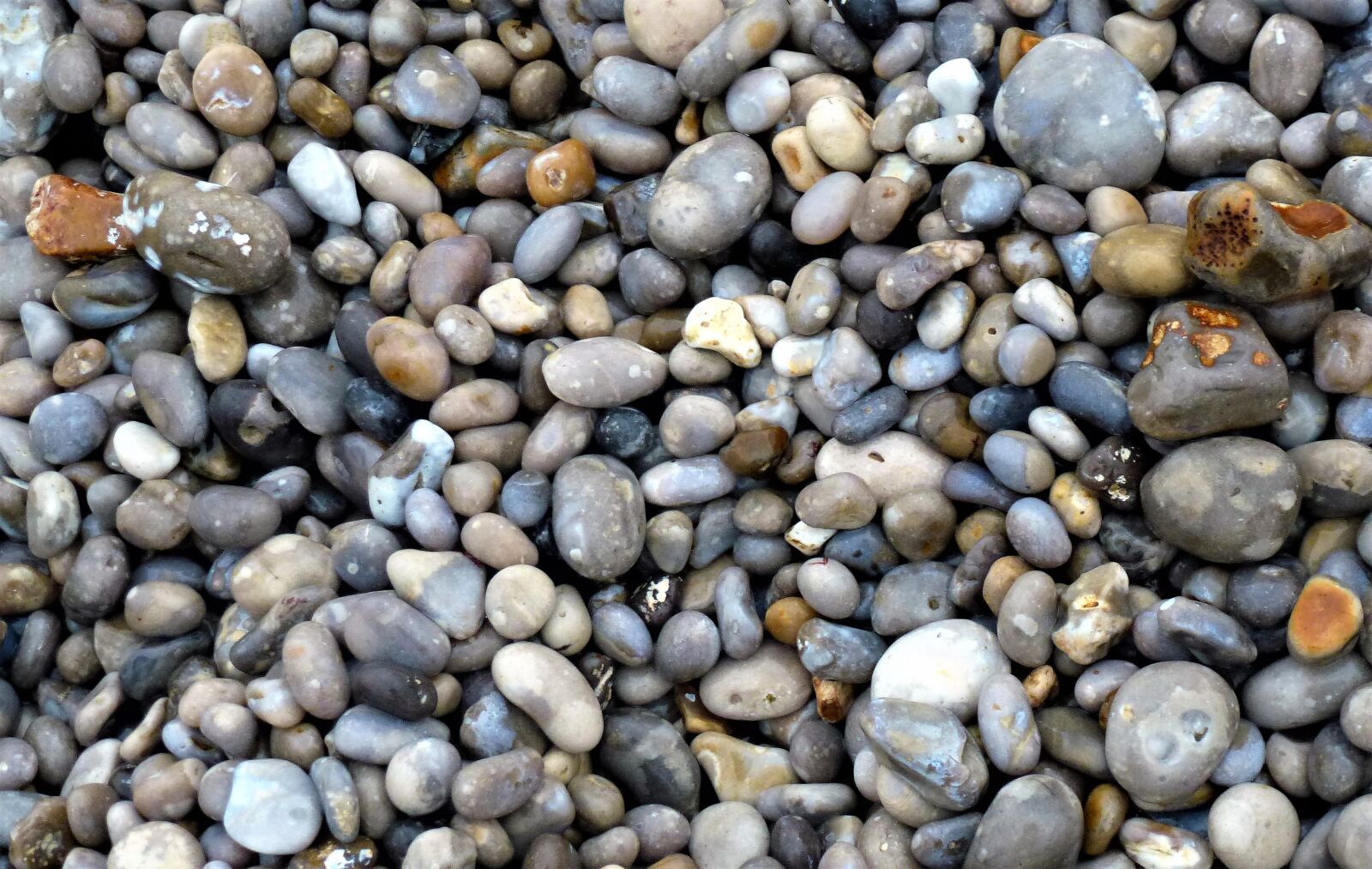 Panasonic Lumix DMC-ZS10 (Lumix DMC-TZ20 / Lumix DMC-TZ22) sample photo. Roller, lot, pierre photography