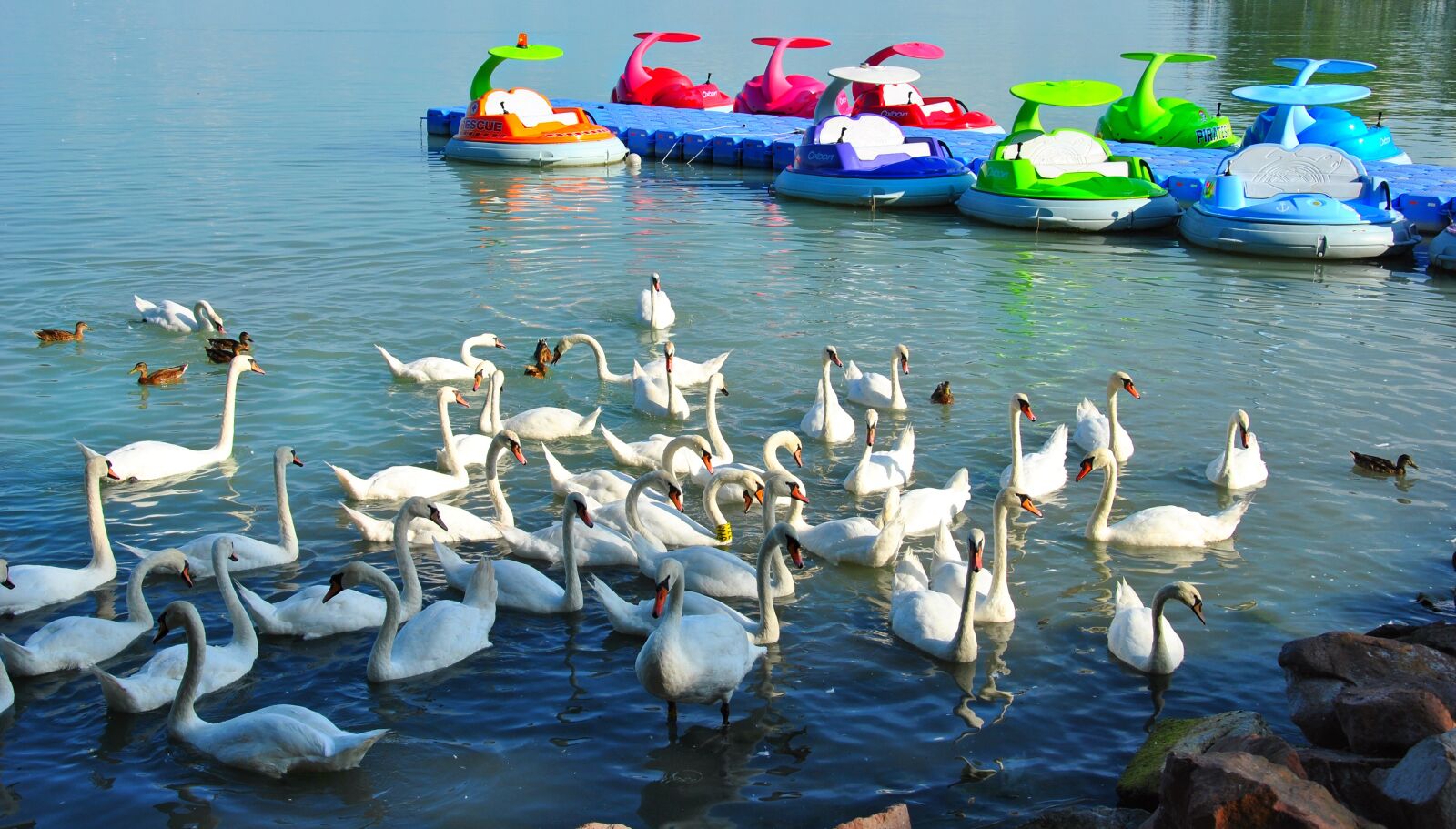 Nikon D3000 sample photo. Vacations, leisure, summer photography