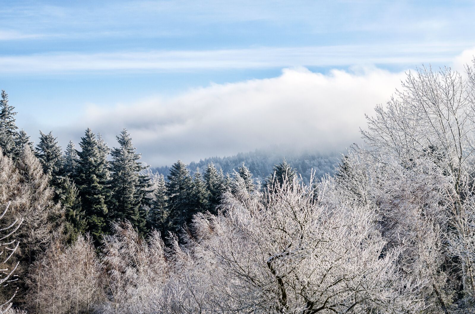 Nikon D7000 sample photo. Winter landscape, winter, mountains photography
